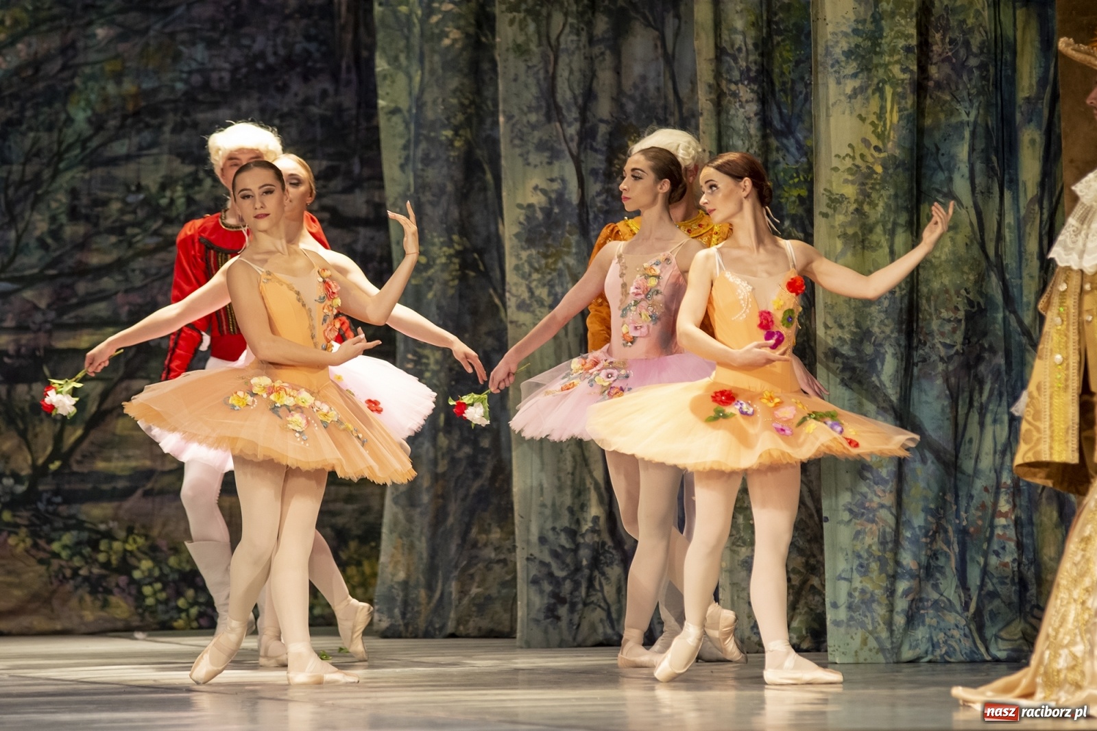 Zdjęcie w galerii na portalu naszraciborz.pl: Śpiąca królewna na deskach RCK [FOTO] wiadomości z regionu