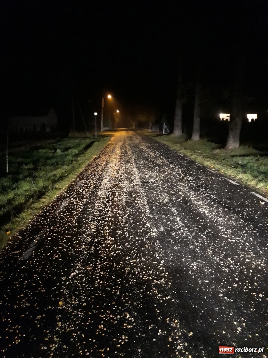 Zdjęcie w galerii na portalu naszraciborz.pl: Wielkie sprzątanie, czyli jezdnia pełna kukurydzy [WIDEO]  wiadomości z regionu