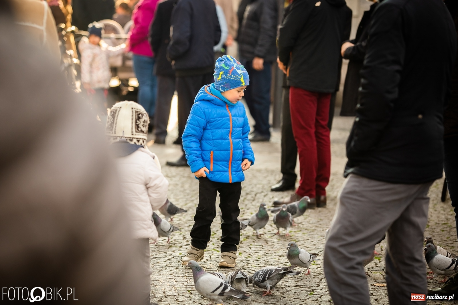 Zdjęcie w galerii na portalu naszraciborz.pl: Święto Niepodległości. Niech żyje Polska, niech żyje Racibórz!  wiadomości z regionu
