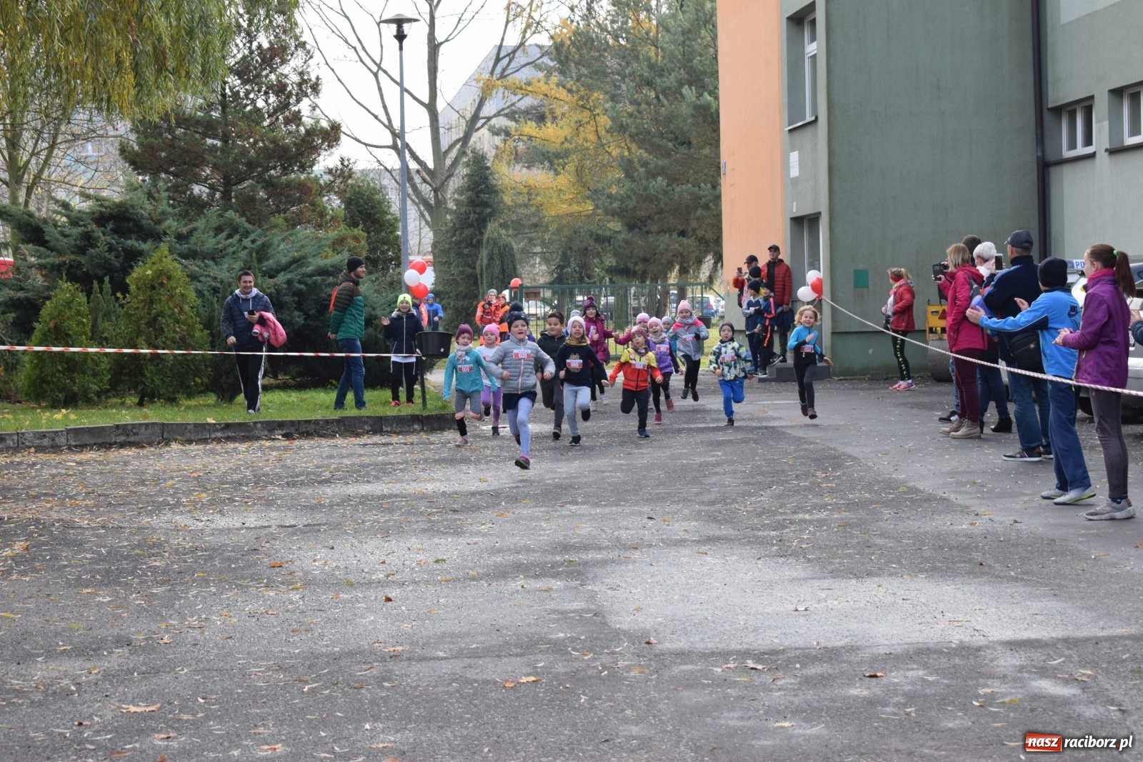Zdjęcie w galerii na portalu naszraciborz.pl: Kuźniański Bieg Niepodległości [FOTO]  wiadomości z regionu