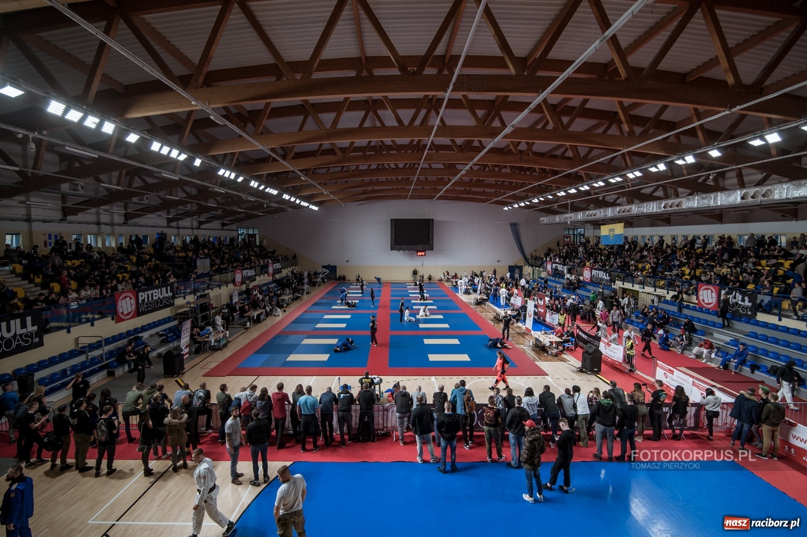 Zdjęcie w galerii na portalu naszraciborz.pl: Mocno sportowy weekend zawodników Sparty Gold Team wiadomości z regionu