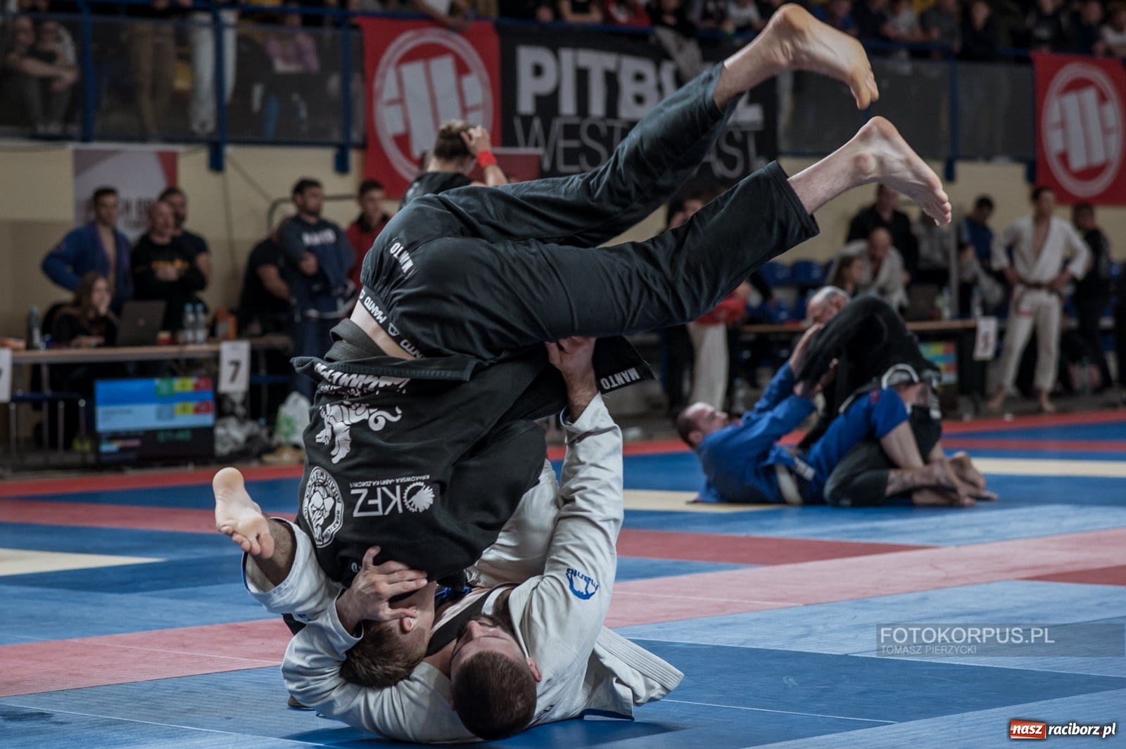 Zdjęcie w galerii na portalu naszraciborz.pl: Mocno sportowy weekend zawodników Sparty Gold Team wiadomości z regionu