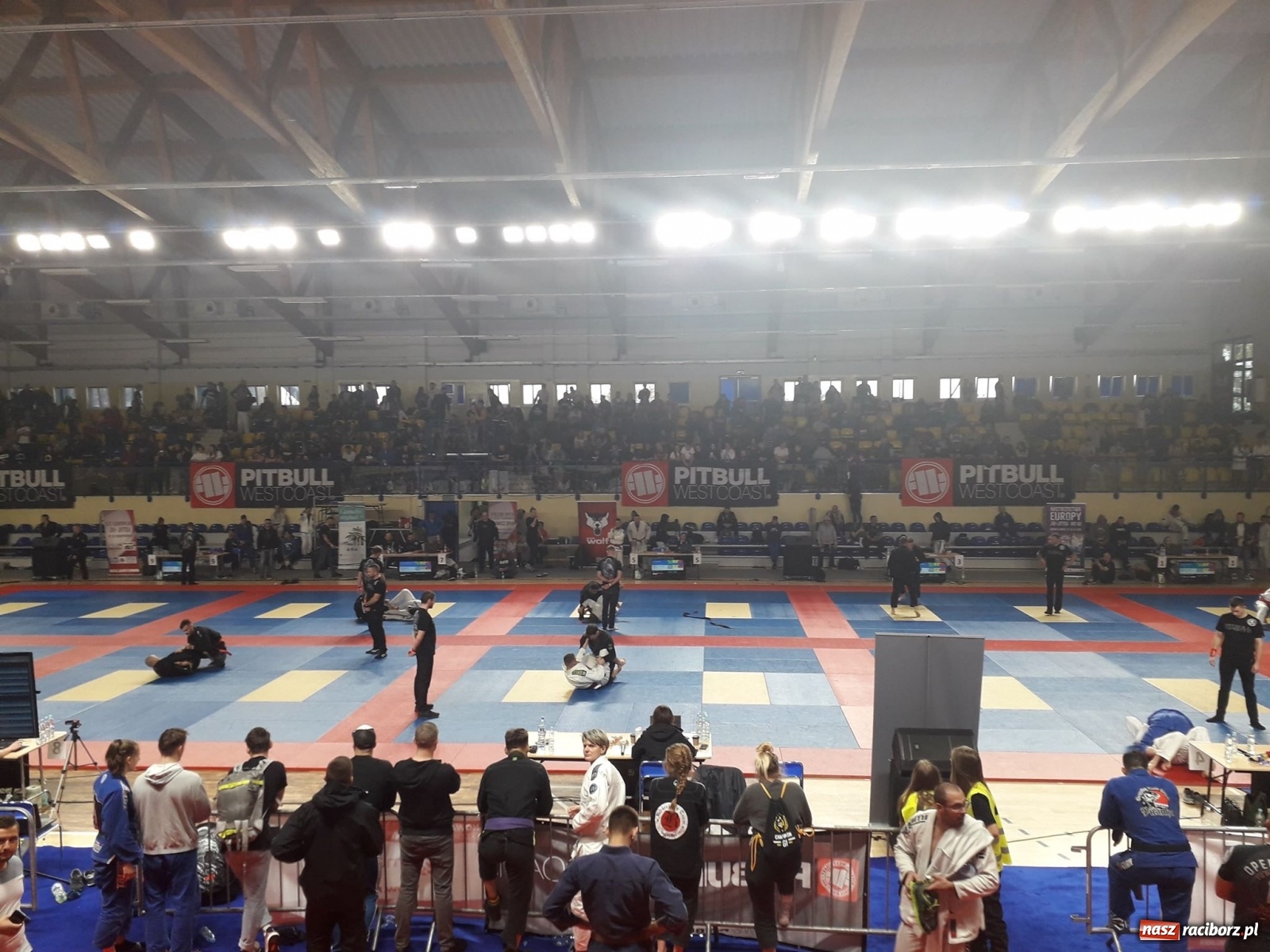 Zdjęcie w galerii na portalu naszraciborz.pl: Mocno sportowy weekend zawodników Sparty Gold Team wiadomości z regionu