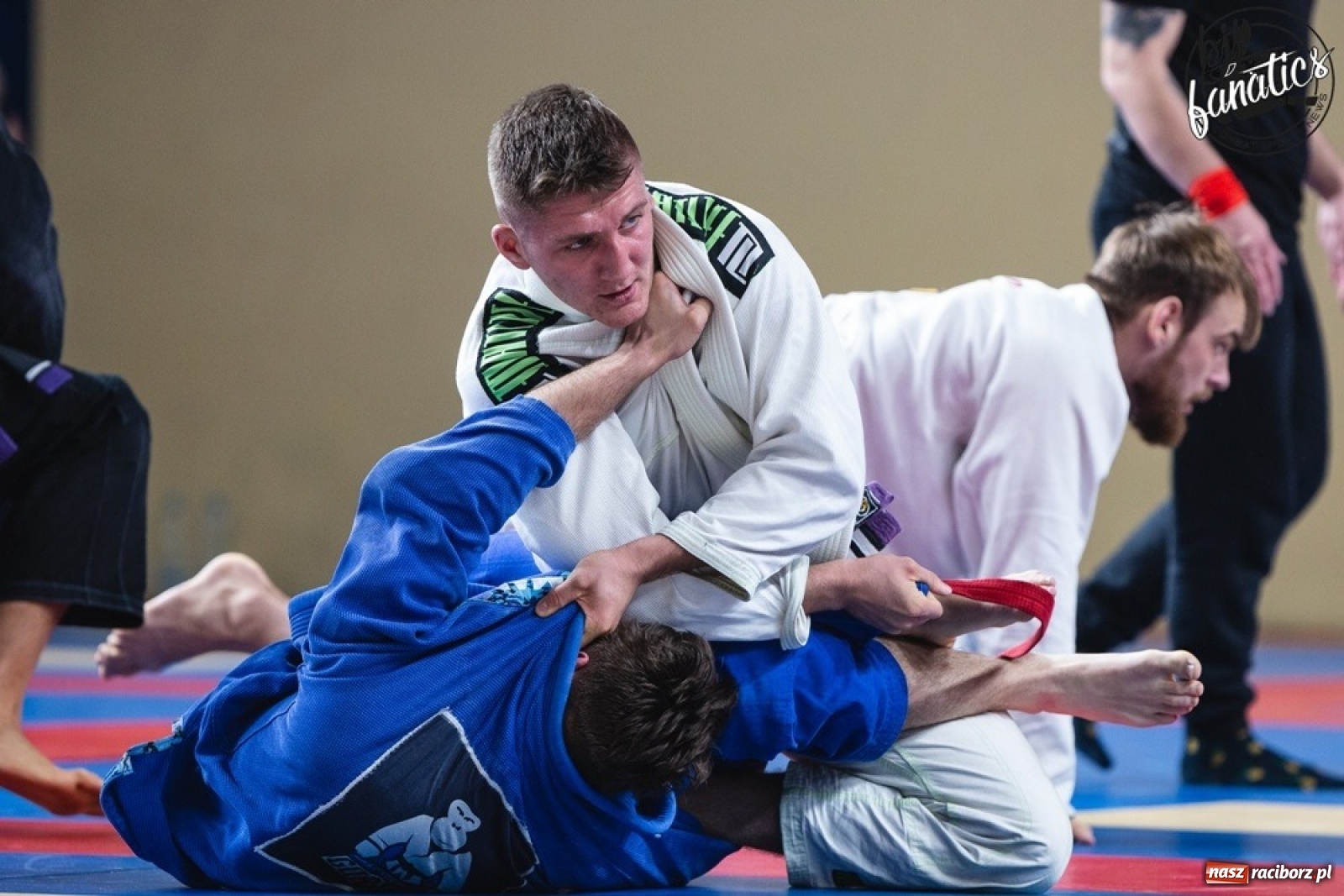 Zdjęcie w galerii na portalu naszraciborz.pl: Mocno sportowy weekend zawodników Sparty Gold Team wiadomości z regionu