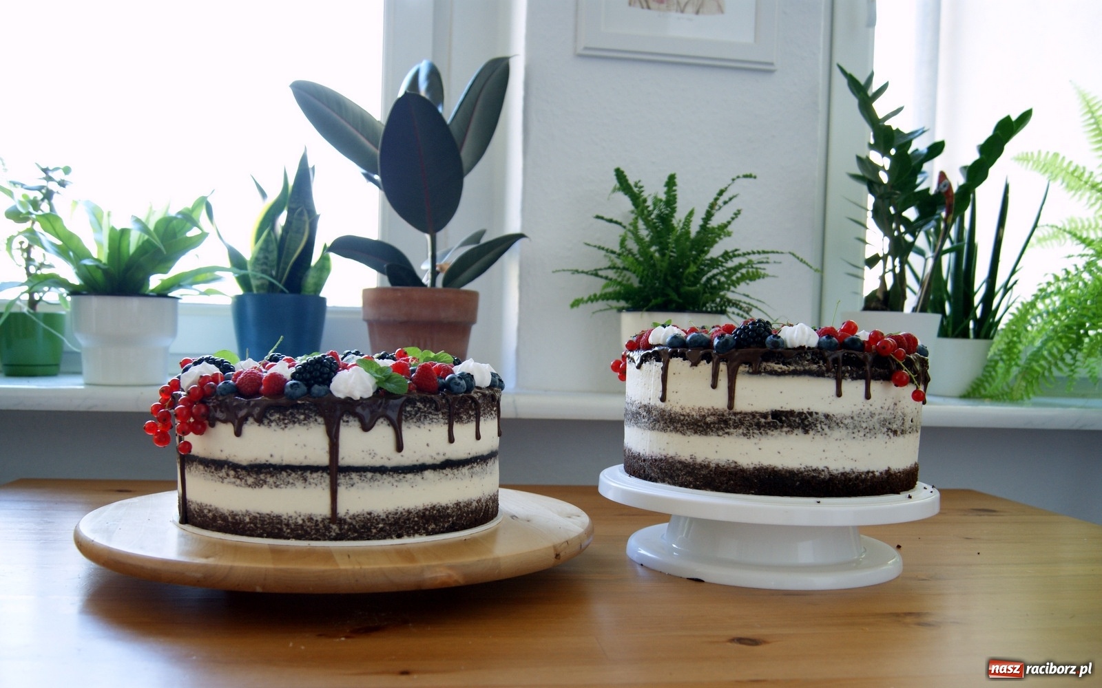 Zdjęcie w galerii na portalu naszraciborz.pl: Pysznie, słodko, naturalnie wiadomości z regionu