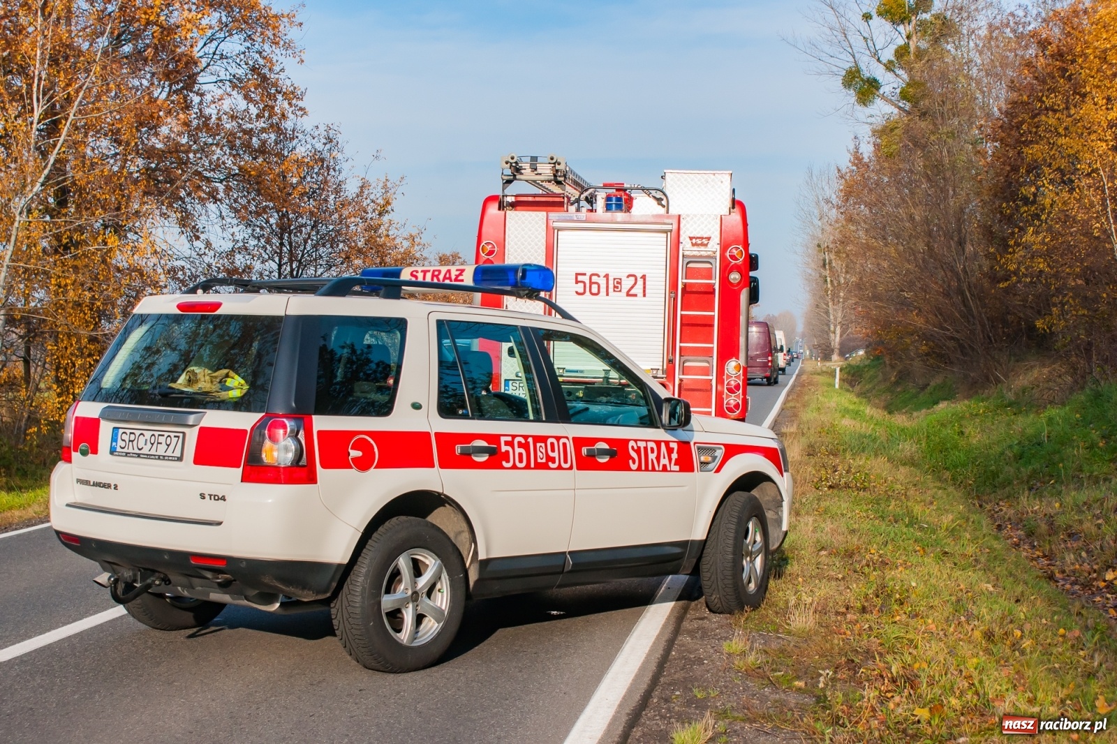 Zdjęcie w galerii na portalu naszraciborz.pl: Trzy pojazdy zderzyły się na DW 919 Racibórz-Babice [FOTO] wiadomości z regionu