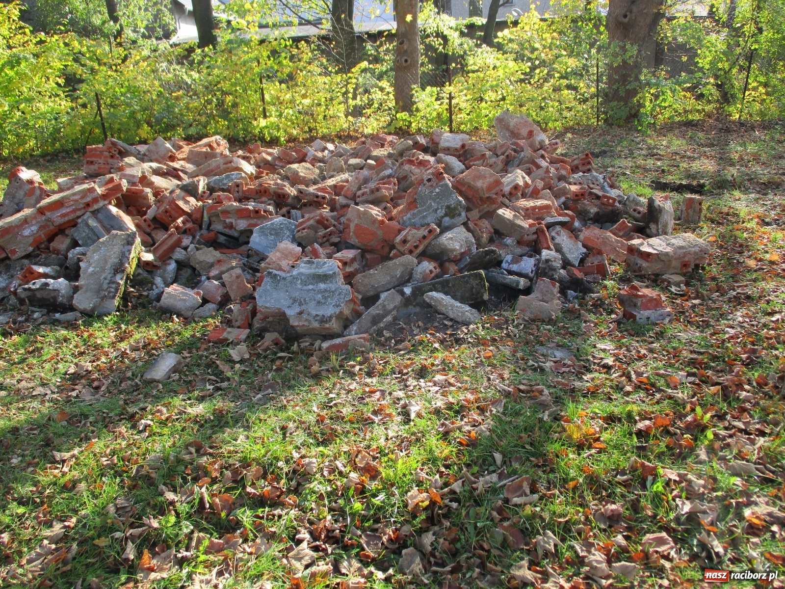 Zdjęcie w galerii na portalu naszraciborz.pl: Krzanowice pozbyły się czerwonej plamy!  wiadomości z regionu