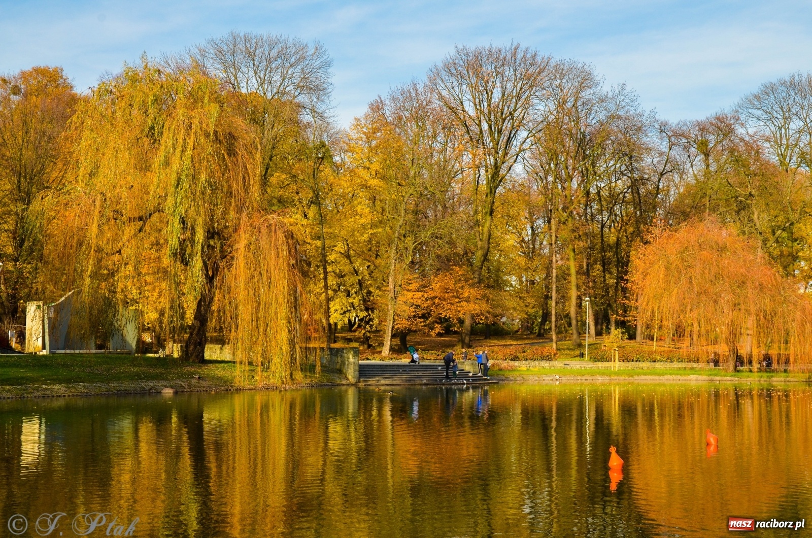 Zdjęcie w galerii na portalu naszraciborz.pl: W parku miasta Roth pojawiły się nowe ławki  wiadomości z regionu