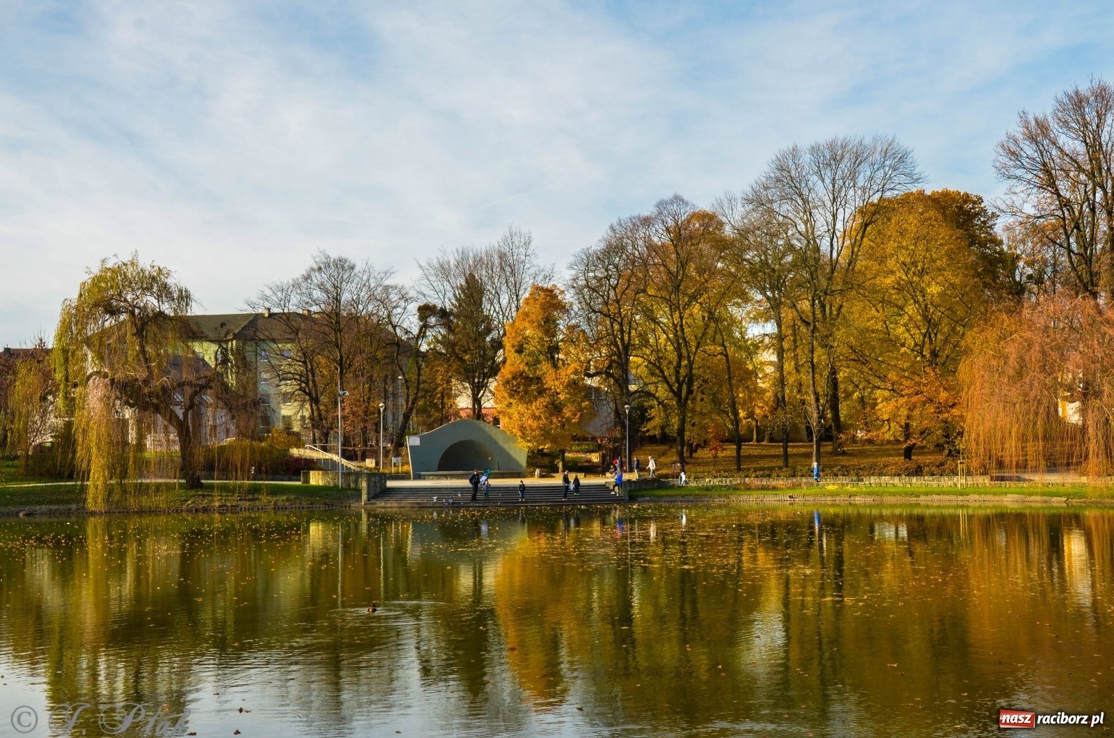 Zdjęcie w galerii na portalu naszraciborz.pl: W parku miasta Roth pojawiły się nowe ławki  wiadomości z regionu