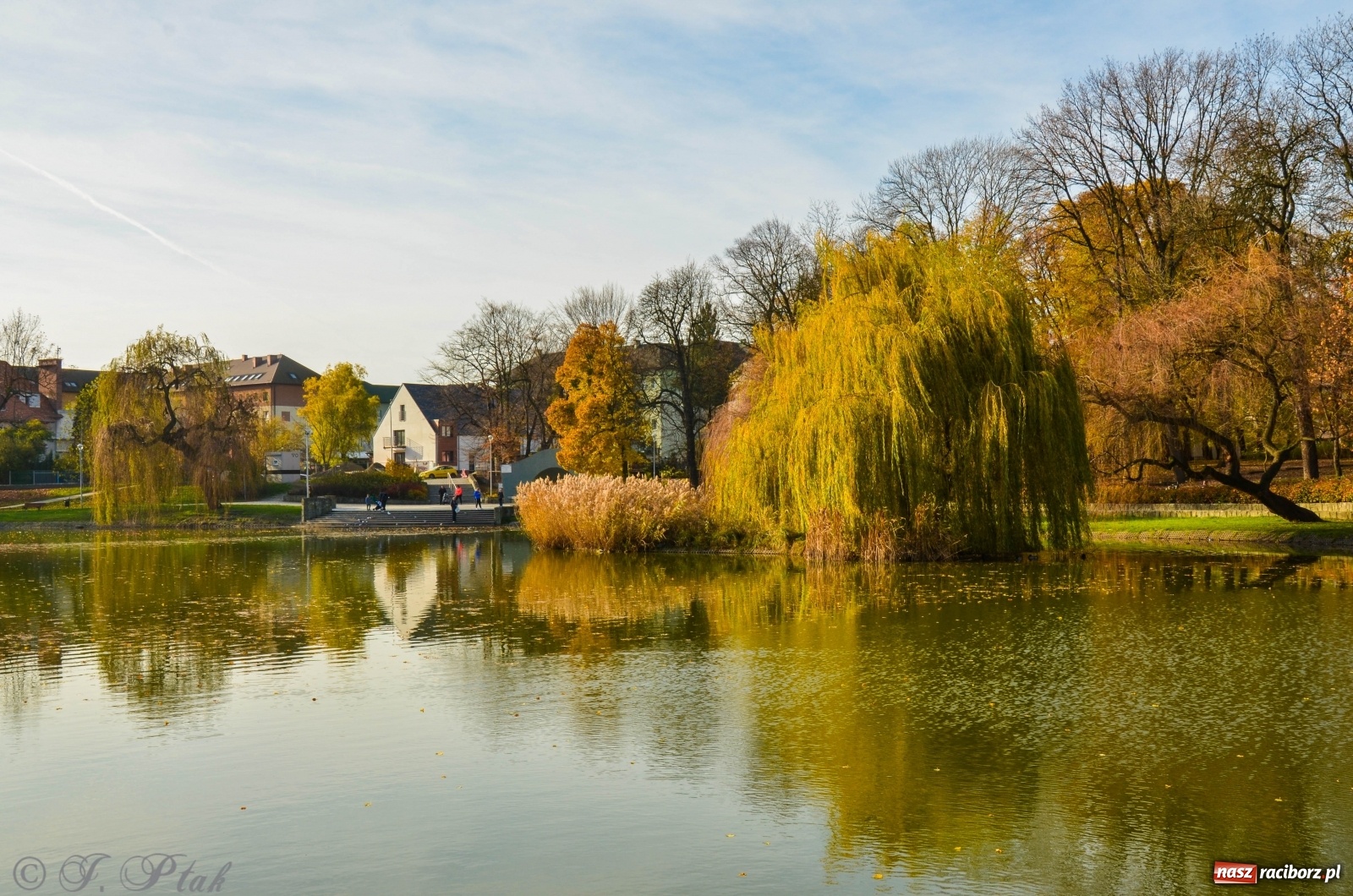 Zdjęcie w galerii na portalu naszraciborz.pl: W parku miasta Roth pojawiły się nowe ławki  wiadomości z regionu