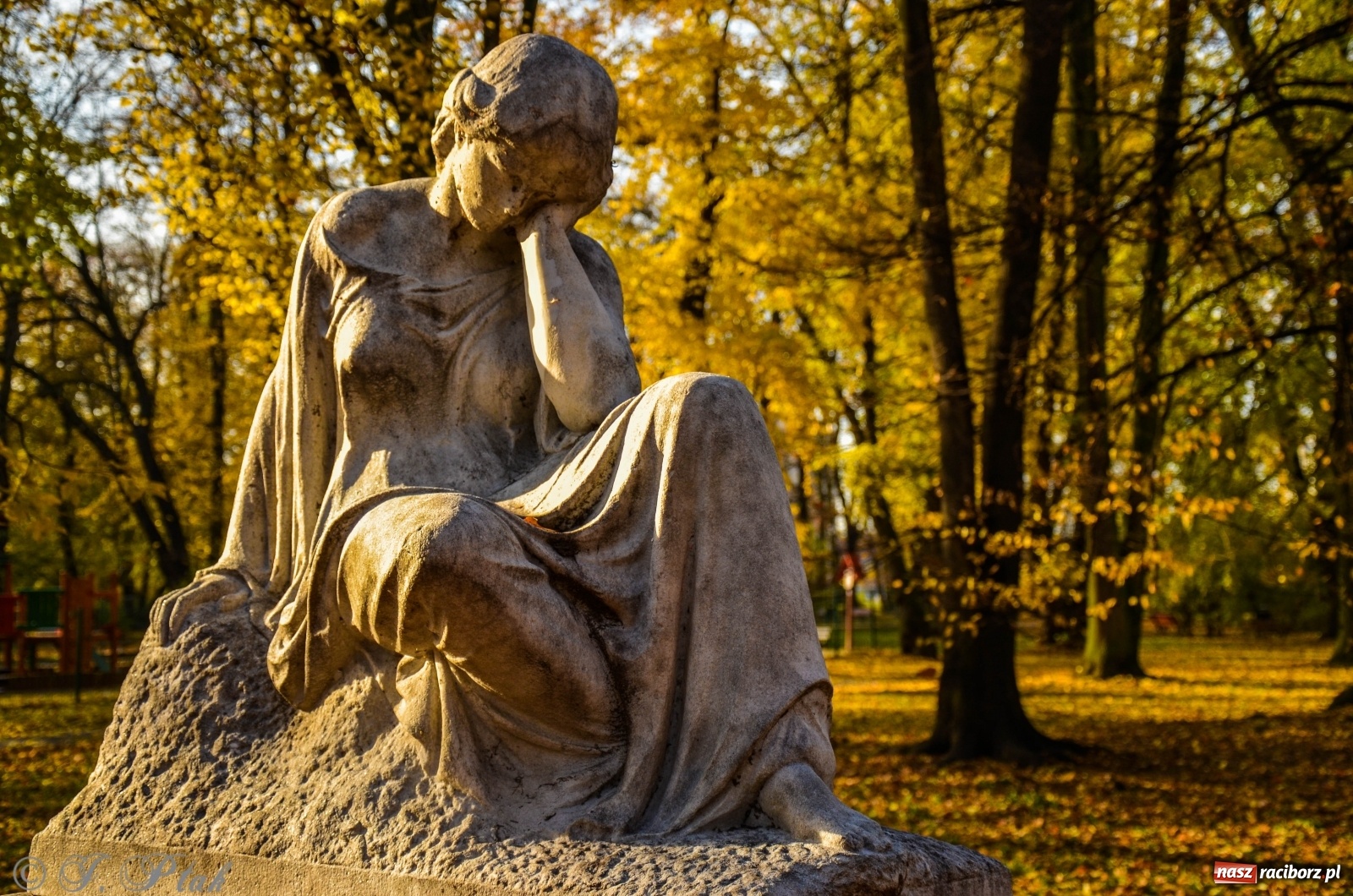 Zdjęcie w galerii na portalu naszraciborz.pl: W parku miasta Roth pojawiły się nowe ławki  wiadomości z regionu