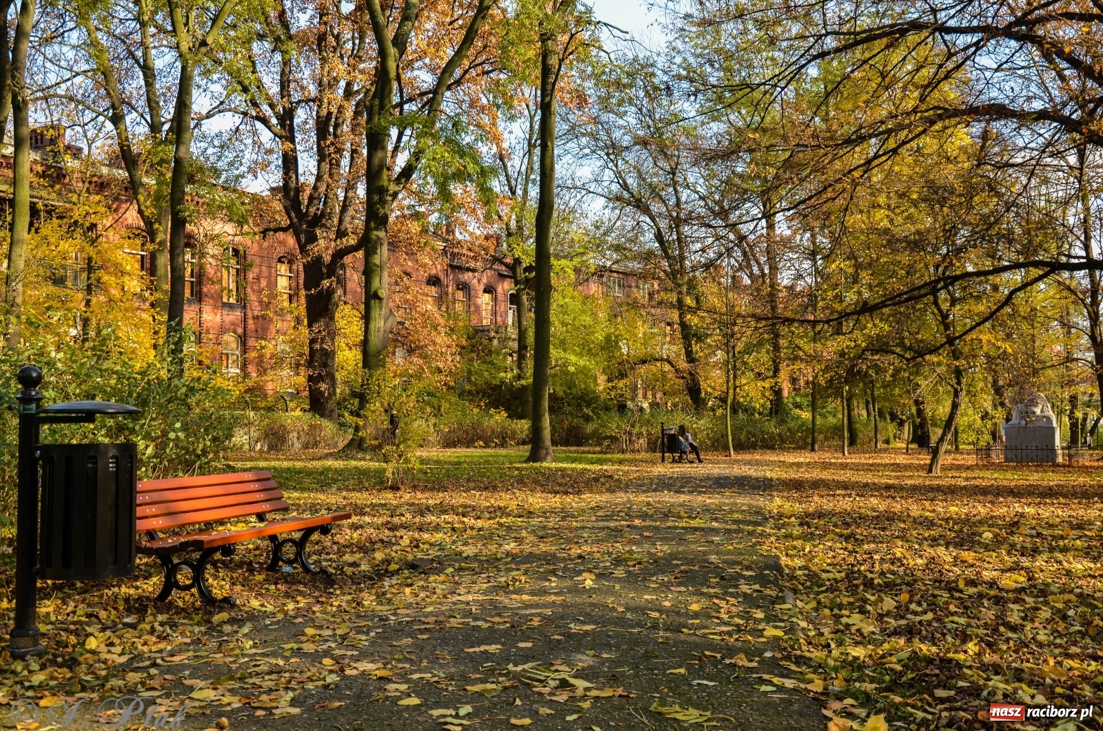 Zdjęcie w galerii na portalu naszraciborz.pl: W parku miasta Roth pojawiły się nowe ławki  wiadomości z regionu