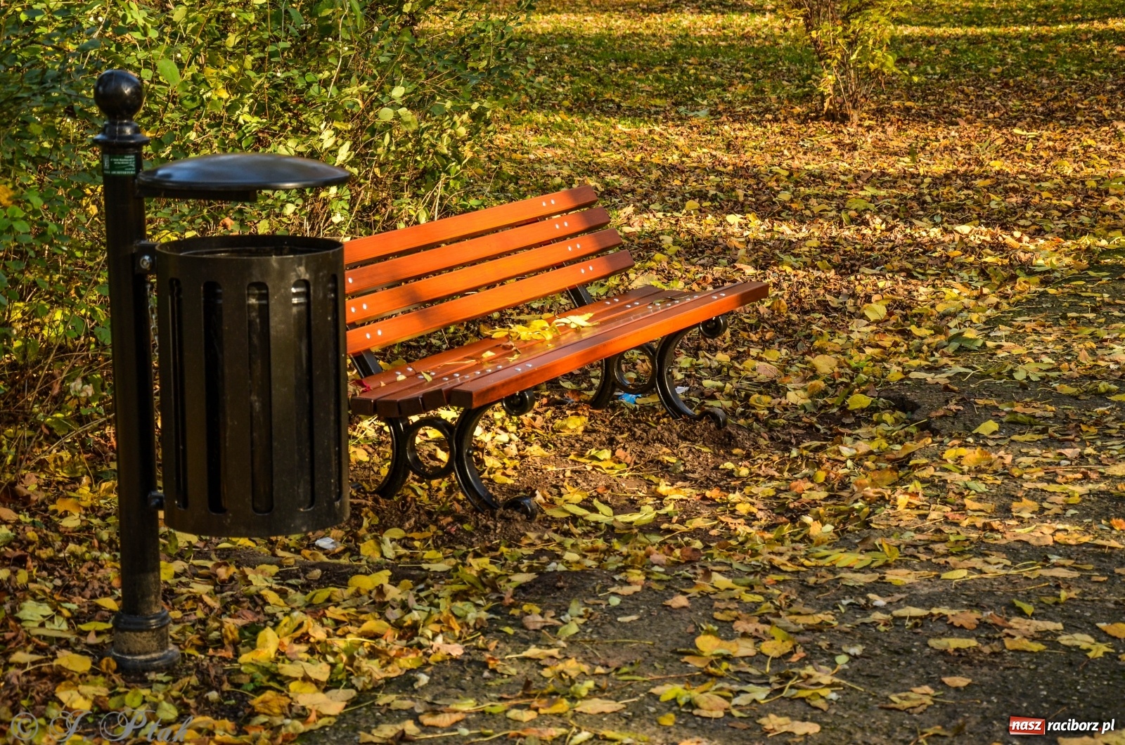 Zdjęcie w galerii na portalu naszraciborz.pl: W parku miasta Roth pojawiły się nowe ławki  wiadomości z regionu