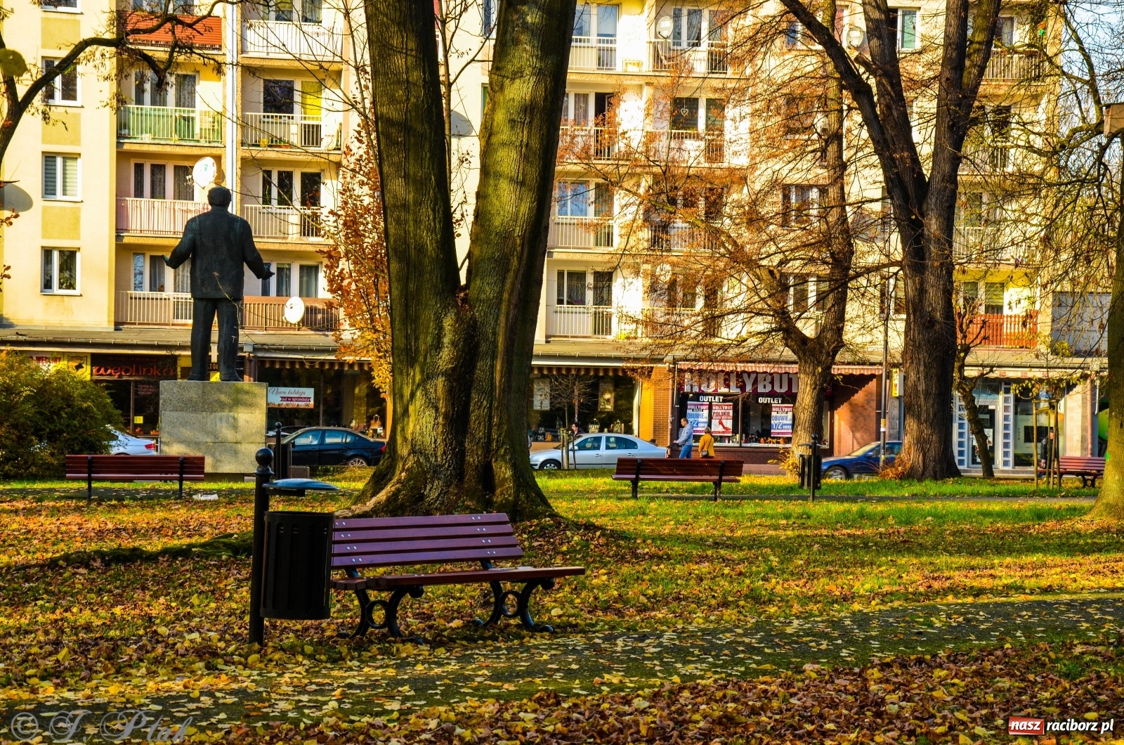 Zdjęcie w galerii na portalu naszraciborz.pl: W parku miasta Roth pojawiły się nowe ławki  wiadomości z regionu
