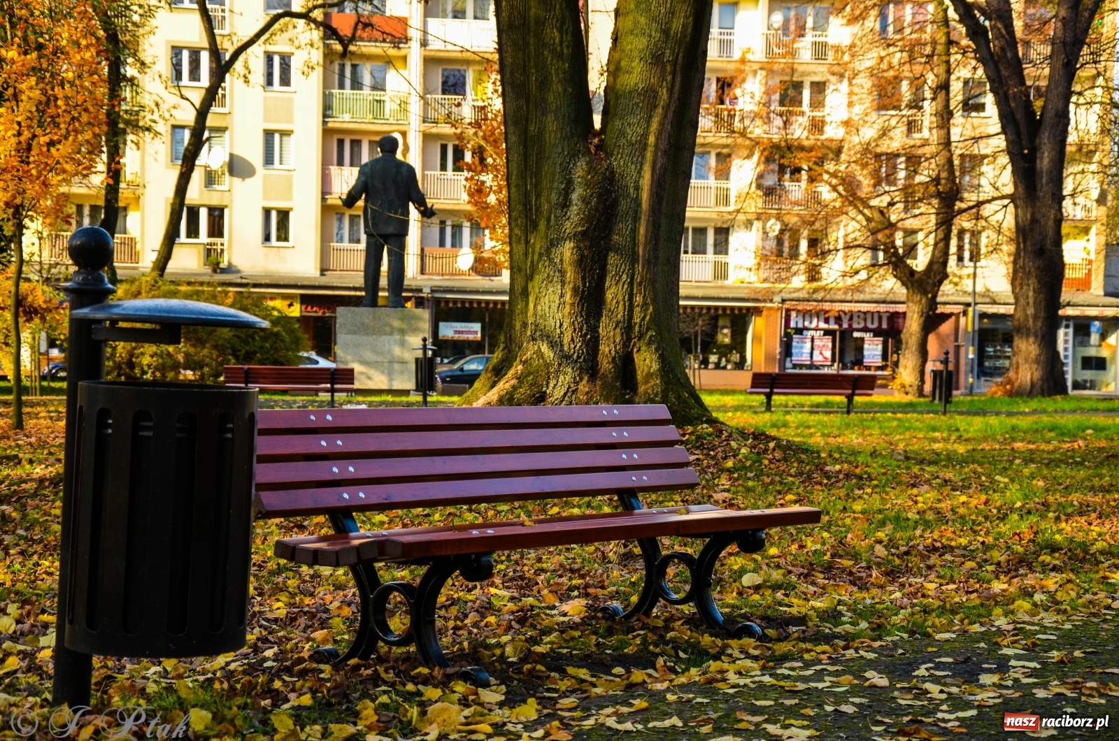 Zdjęcie w galerii na portalu naszraciborz.pl: W parku miasta Roth pojawiły się nowe ławki  wiadomości z regionu