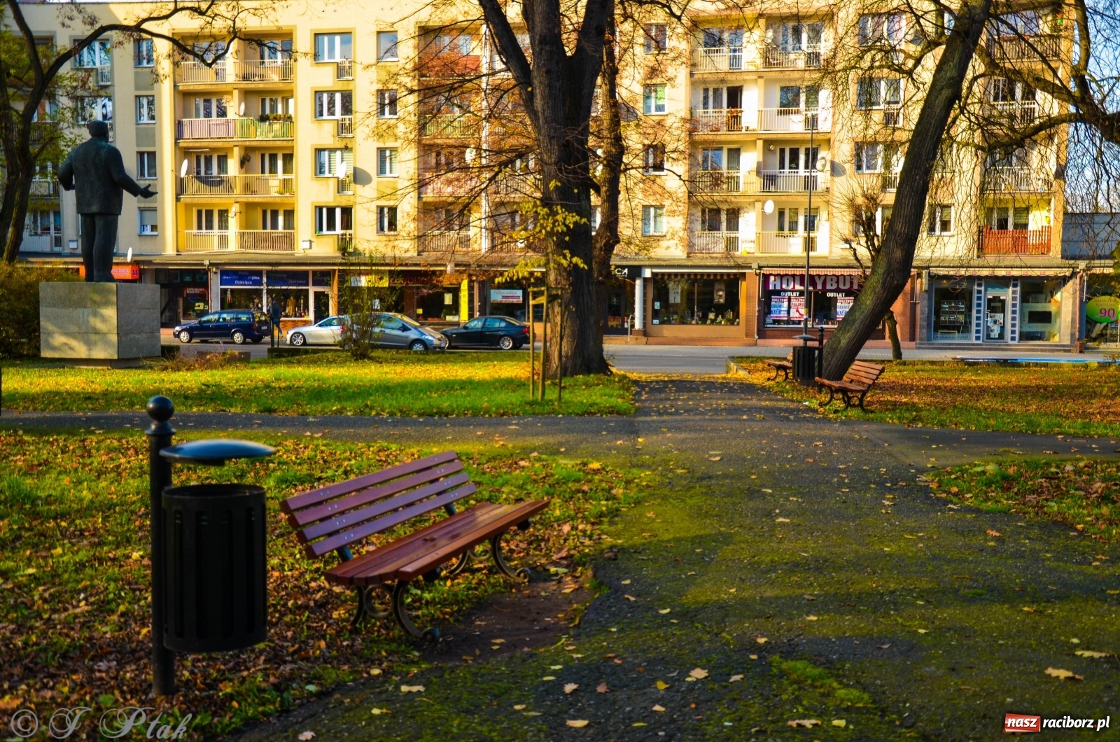 Zdjęcie w galerii na portalu naszraciborz.pl: W parku miasta Roth pojawiły się nowe ławki  wiadomości z regionu