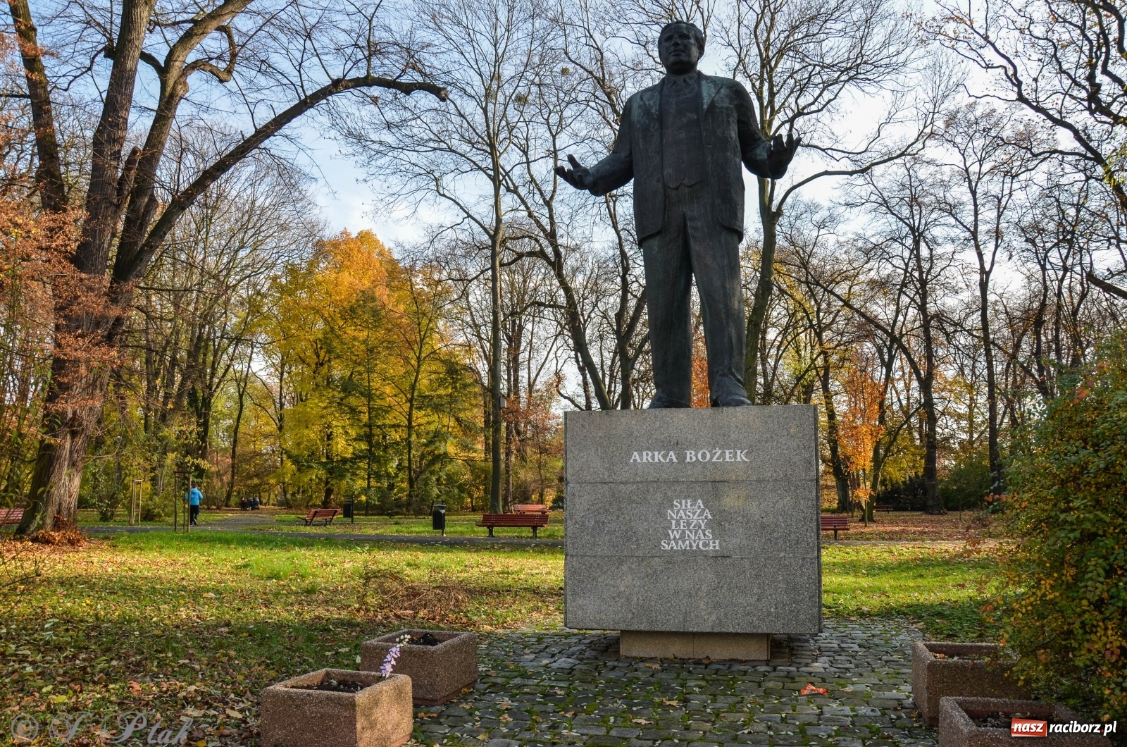 Zdjęcie w galerii na portalu naszraciborz.pl: W parku miasta Roth pojawiły się nowe ławki  wiadomości z regionu
