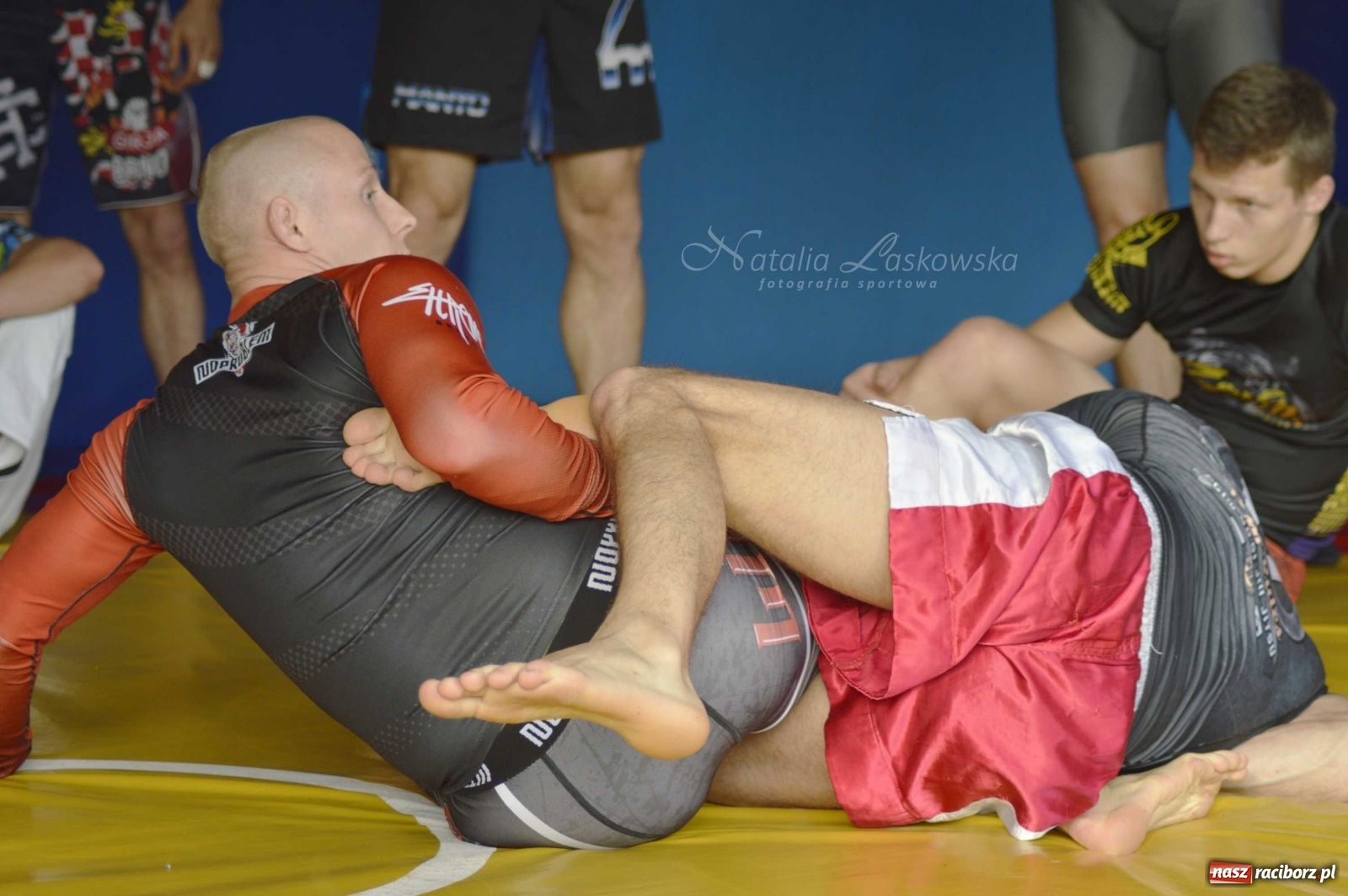 Zdjęcie w galerii na portalu naszraciborz.pl: Kamil Wilk na zaproszenie Łamatora przyjechał do Raciborza  wiadomości z regionu