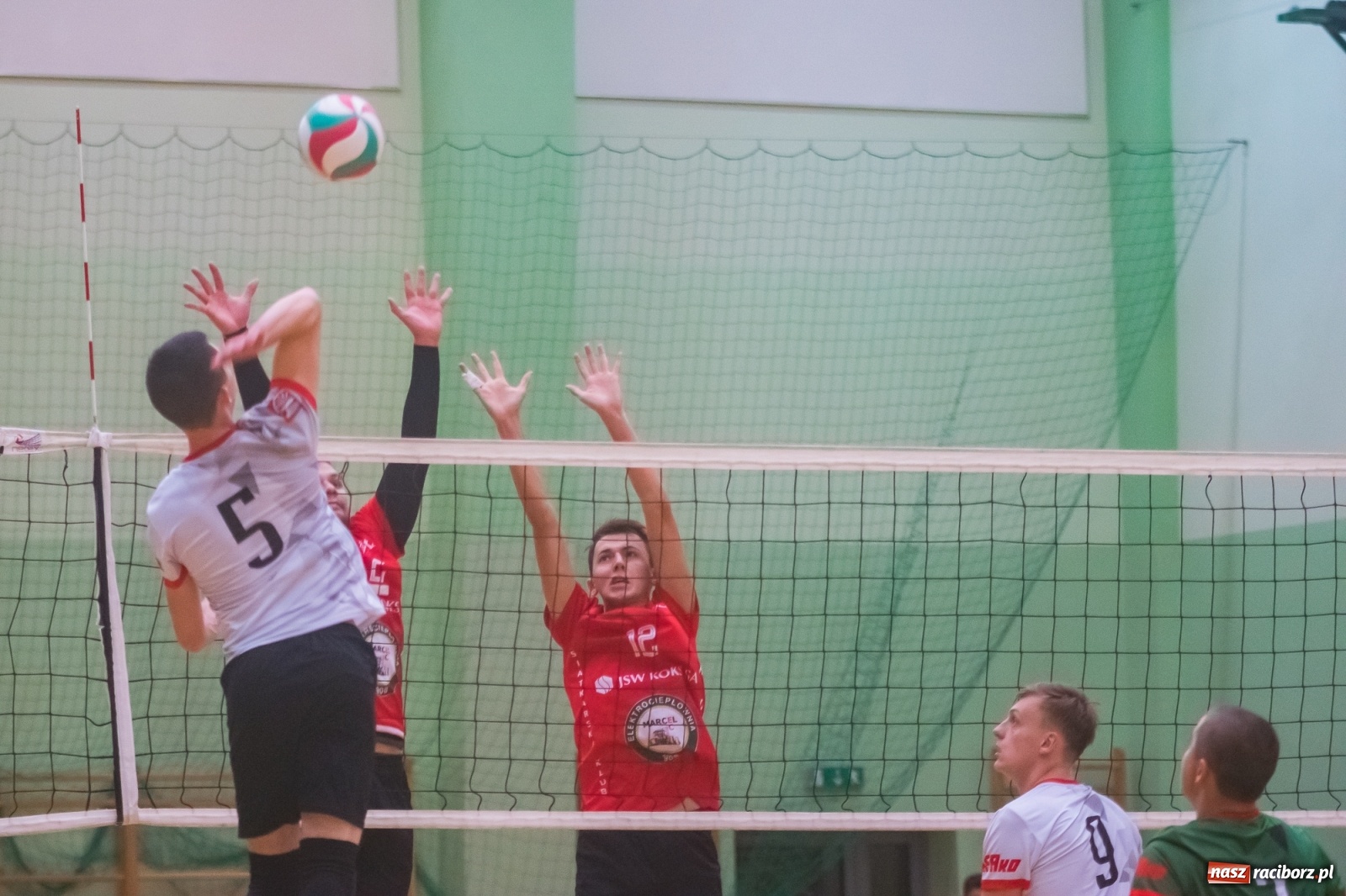 Zdjęcie w galerii na portalu naszraciborz.pl: Siatkarski rollercoaster w Arenie Rafako. Raciborzanie górą! [FOTO i WIDEO] wiadomości z regionu