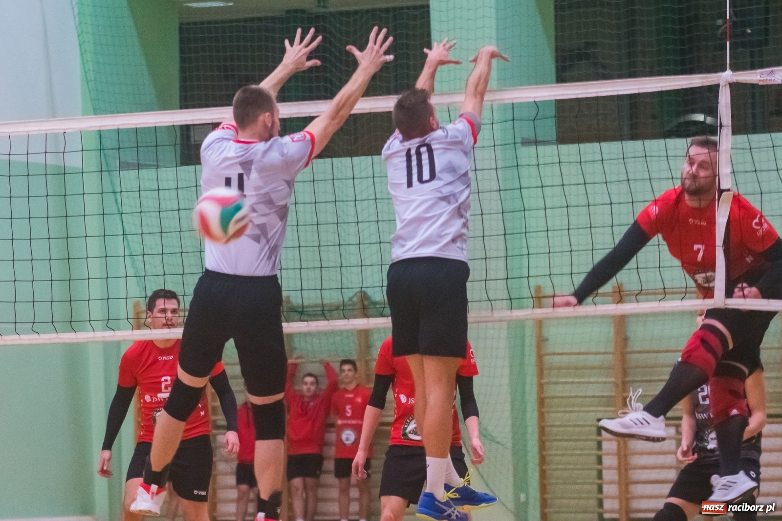 Zdjęcie w galerii na portalu naszraciborz.pl: Siatkarski rollercoaster w Arenie Rafako. Raciborzanie górą! [FOTO i WIDEO] wiadomości z regionu