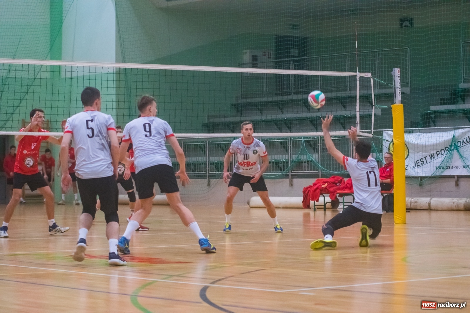 Zdjęcie w galerii na portalu naszraciborz.pl: Siatkarski rollercoaster w Arenie Rafako. Raciborzanie górą! [FOTO i WIDEO] wiadomości z regionu