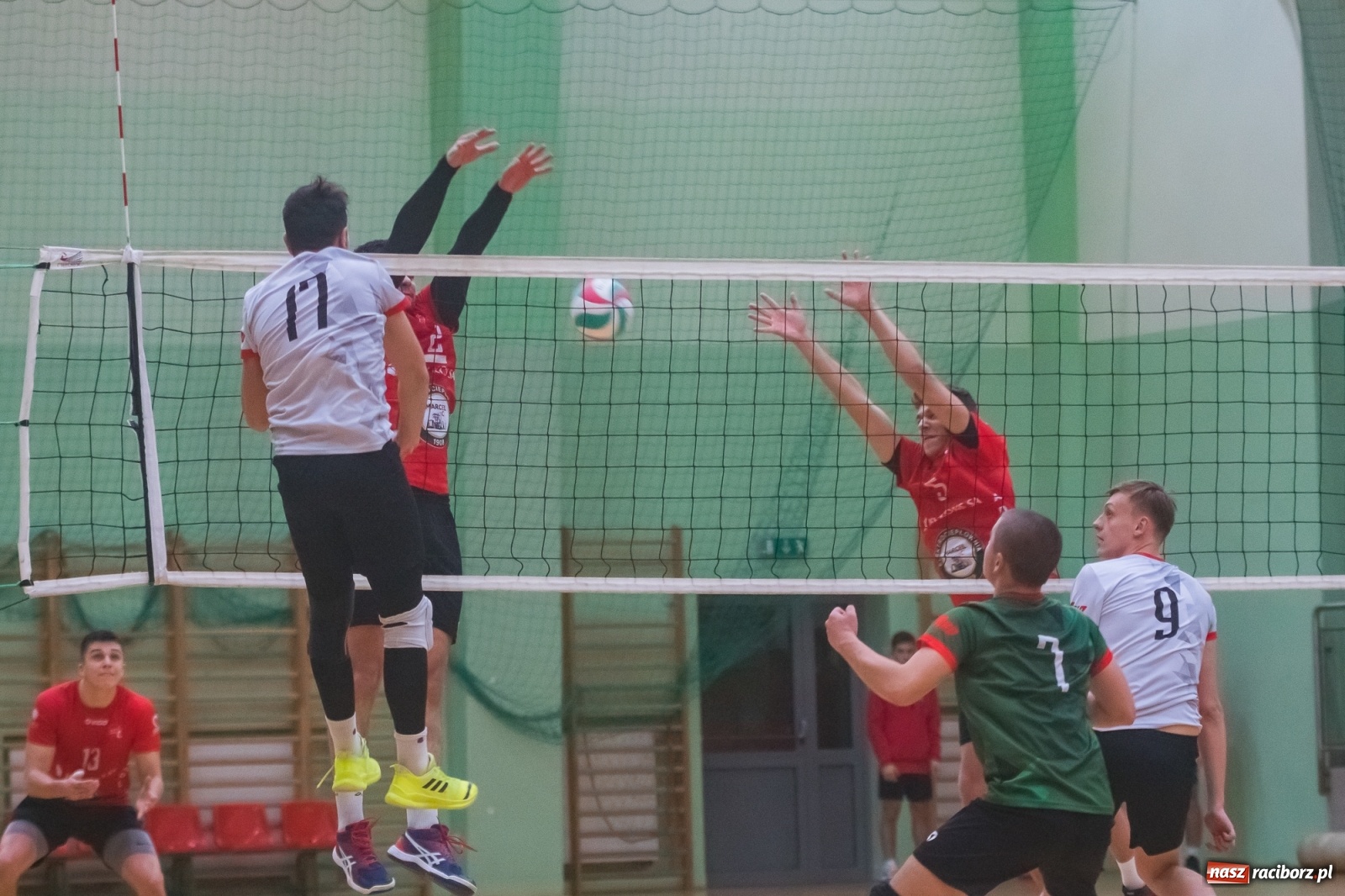 Zdjęcie w galerii na portalu naszraciborz.pl: Siatkarski rollercoaster w Arenie Rafako. Raciborzanie górą! [FOTO i WIDEO] wiadomości z regionu