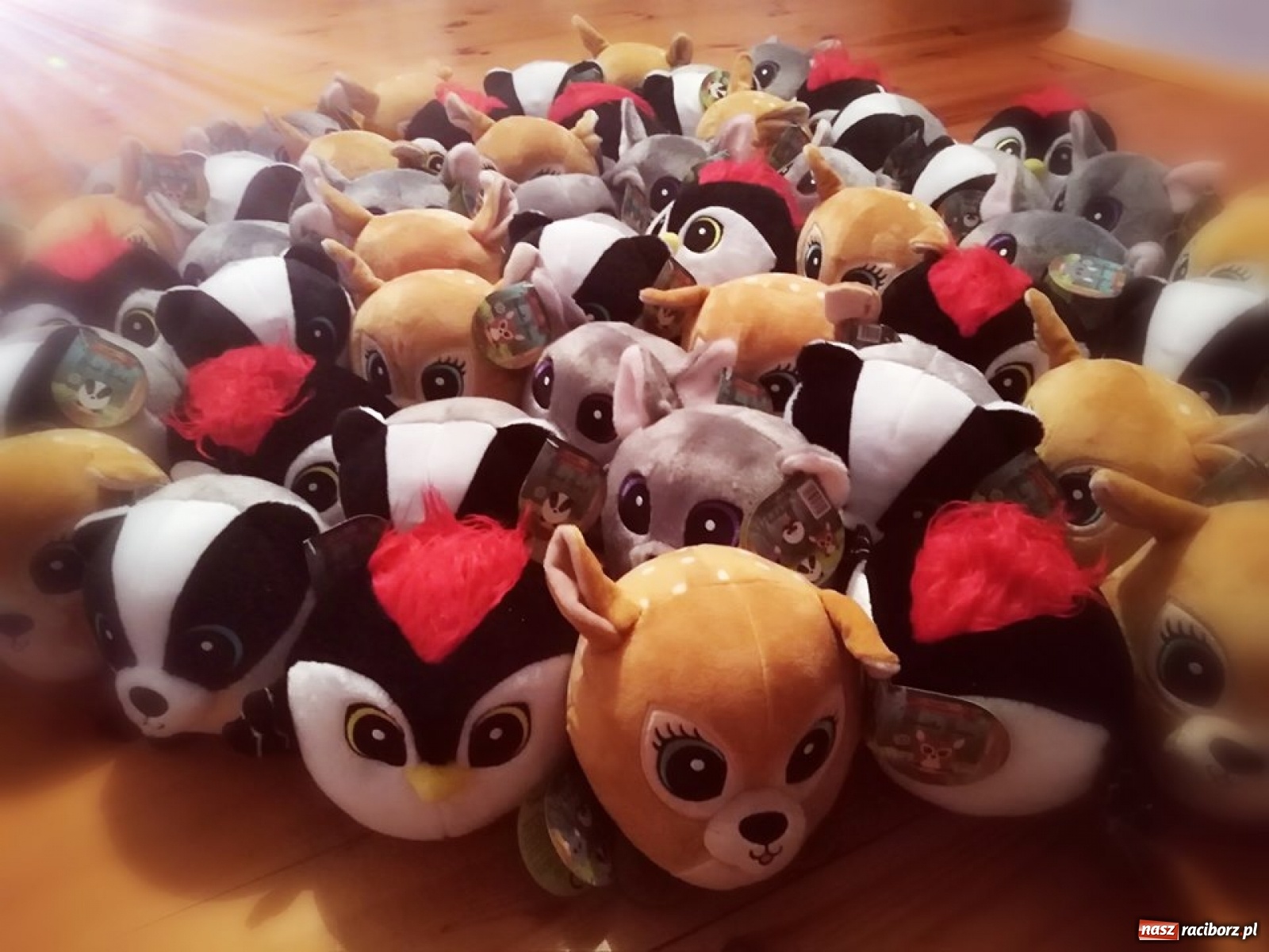 Zdjęcie w galerii na portalu naszraciborz.pl: Uczniowie SP 13 z pomocą dla najmodszych wiadomości z regionu