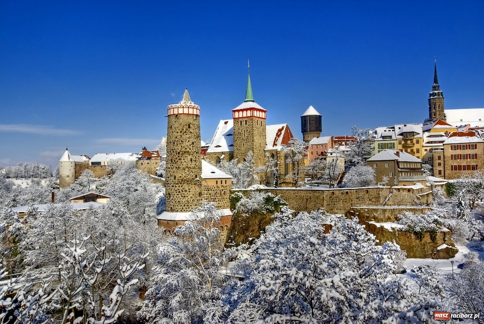 Zdjęcie w galerii na portalu naszraciborz.pl: Budziszyn, Wiedeń, Ołomuniec czy Wrocław? – zobacz najpiękniejsze Jarmarki Świąteczne! wiadomości z regionu