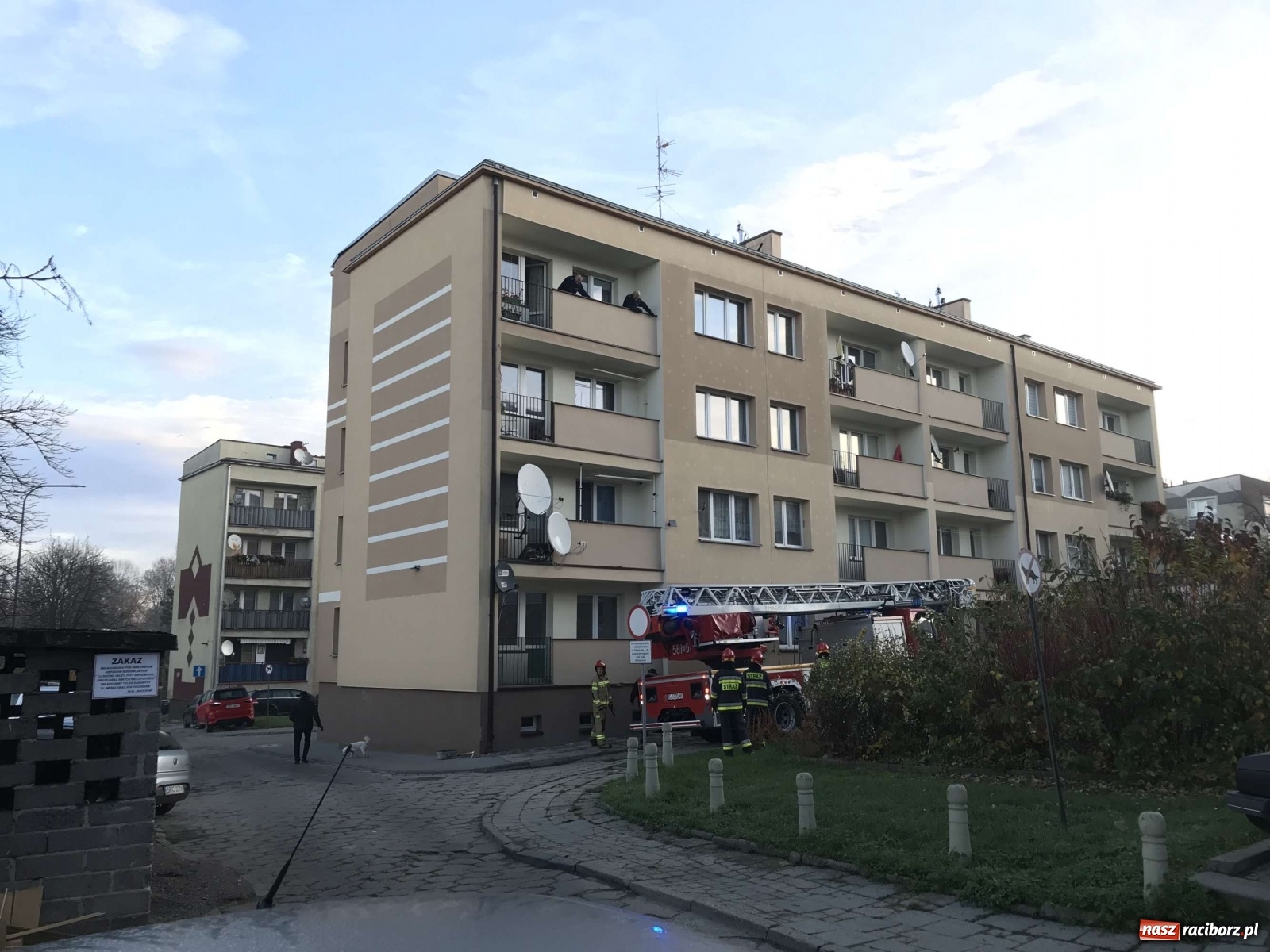 Zdjęcie w galerii na portalu naszraciborz.pl: W mieszkaniu na Odrzańskiej ujawniono zwłoki  wiadomości z regionu