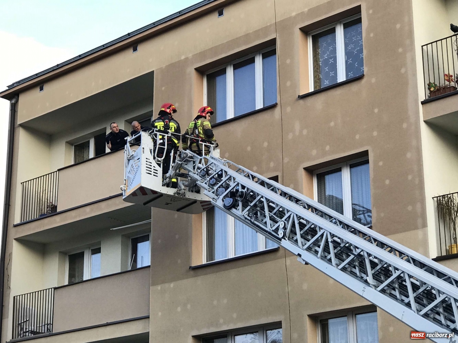 Zdjęcie w galerii na portalu naszraciborz.pl: W mieszkaniu na Odrzańskiej ujawniono zwłoki  wiadomości z regionu