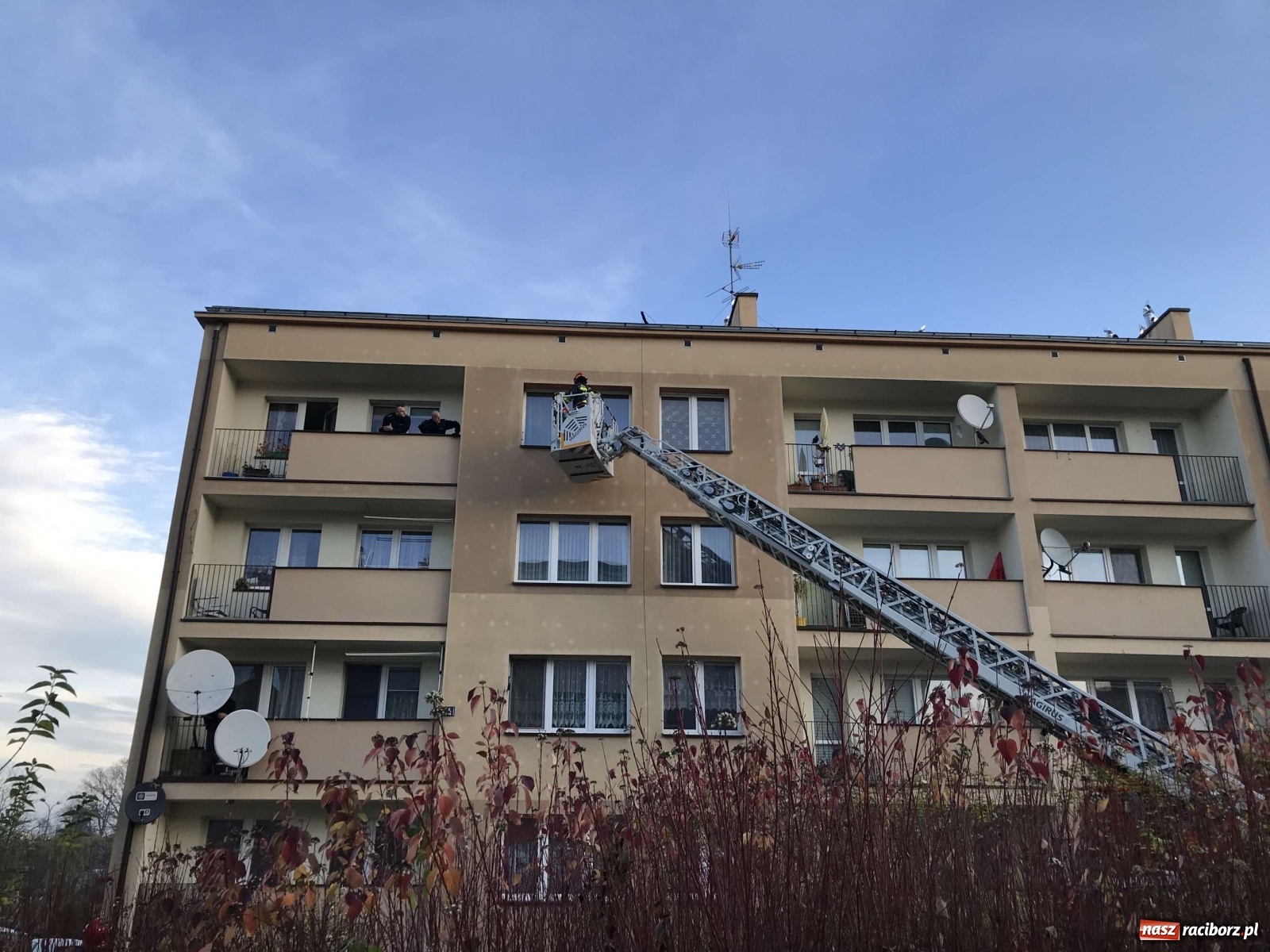 Zdjęcie w galerii na portalu naszraciborz.pl: W mieszkaniu na Odrzańskiej ujawniono zwłoki  wiadomości z regionu