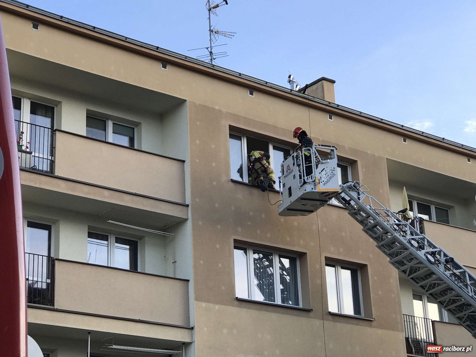 Zdjęcie w galerii na portalu naszraciborz.pl: W mieszkaniu na Odrzańskiej ujawniono zwłoki  wiadomości z regionu