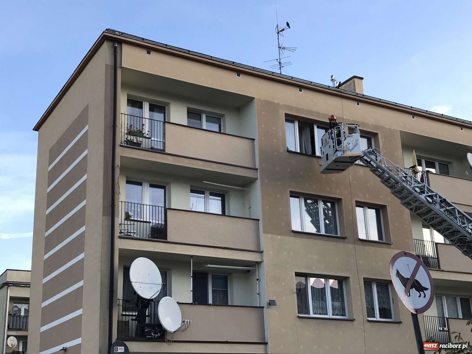 Zdjęcie w galerii na portalu naszraciborz.pl: W mieszkaniu na Odrzańskiej ujawniono zwłoki  wiadomości z regionu