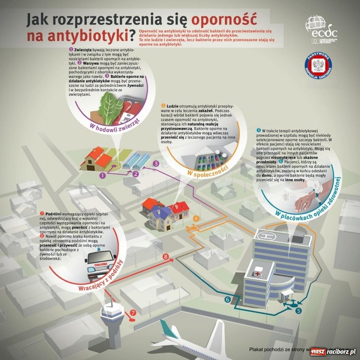 Zdjęcie w galerii na portalu naszraciborz.pl: Czy wiesz kiedy brać antybiotyki? wiadomości z regionu