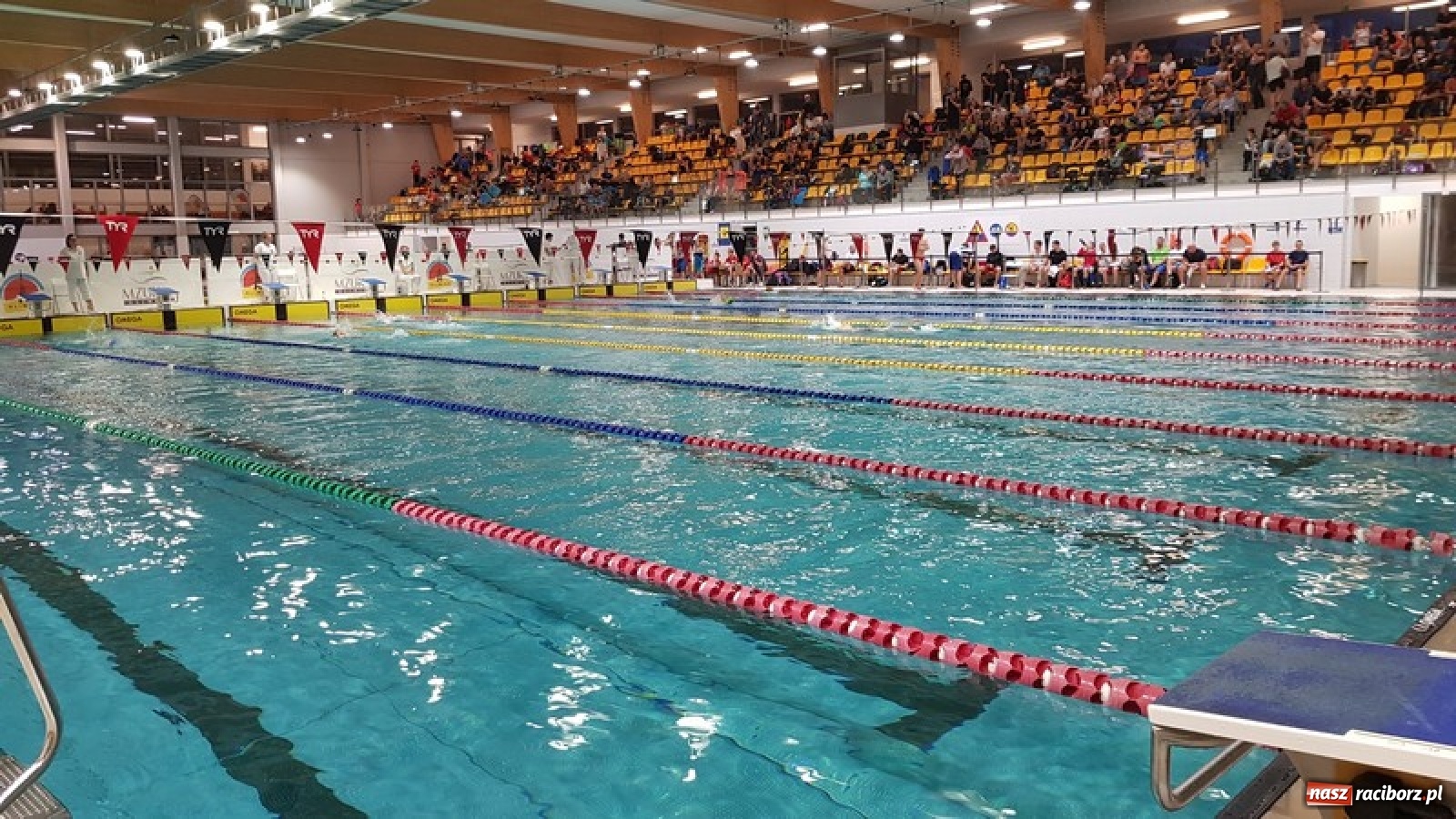 Zdjęcie w galerii na portalu naszraciborz.pl: Medalowe żniwa pływaków ZSOMS wiadomości z regionu