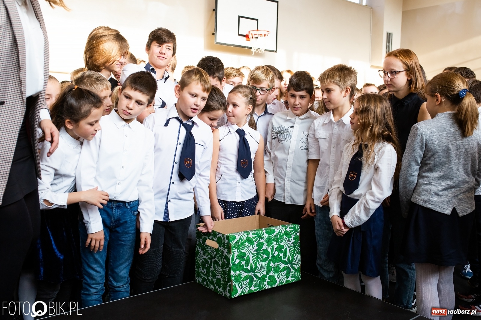 Zdjęcie w galerii na portalu naszraciborz.pl: Spotkanie Rzecznika Mikołaja Pawlaka z uczniami SP 1 wiadomości z regionu