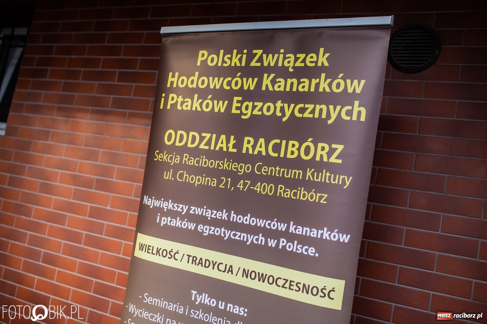 Zdjęcie w galerii na portalu naszraciborz.pl: Trwa wystawa ptaków w Labiryncie wiadomości z regionu