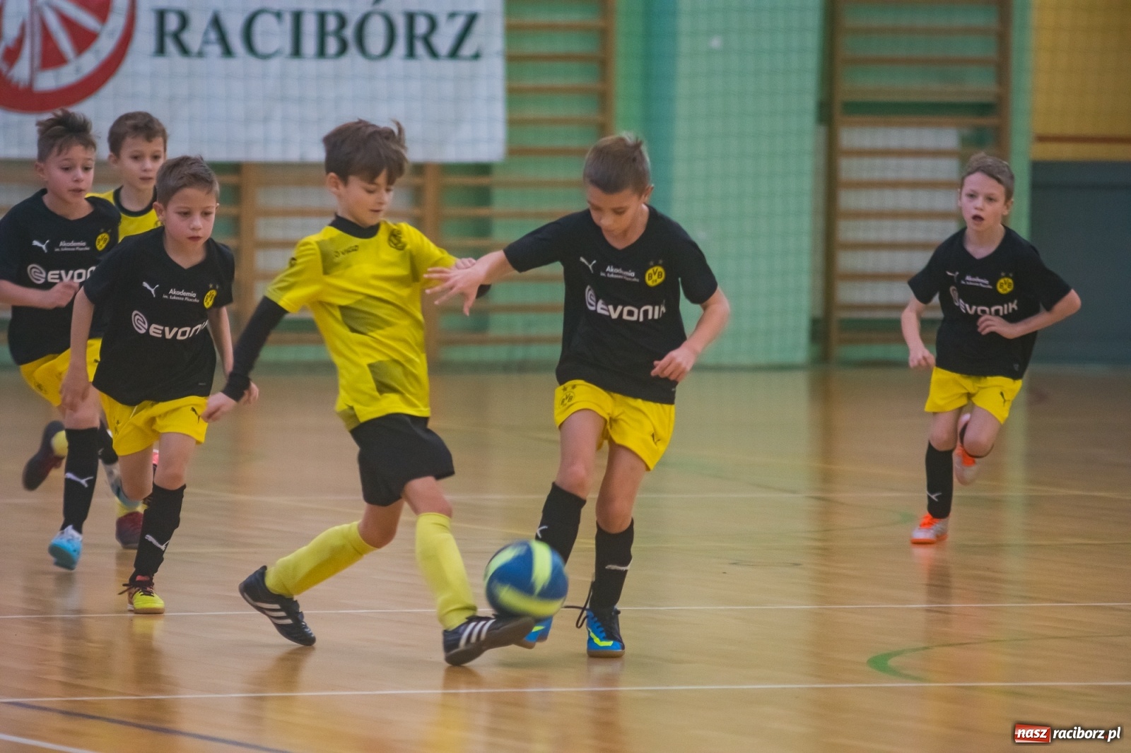 Zdjęcie w galerii na portalu naszraciborz.pl: Orliki młodsze walczyły w Arenie Rafako. Górnik Zabrze z Pucharem Prezesa [FOTO i WIDEO] wiadomości z regionu