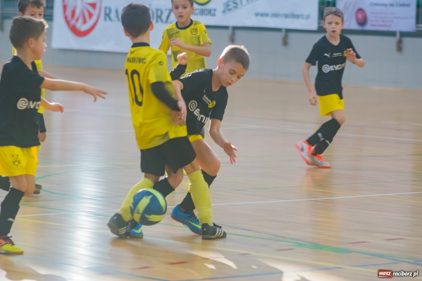 Zdjęcie w galerii na portalu naszraciborz.pl: Orliki młodsze walczyły w Arenie Rafako. Górnik Zabrze z Pucharem Prezesa [FOTO i WIDEO] wiadomości z regionu