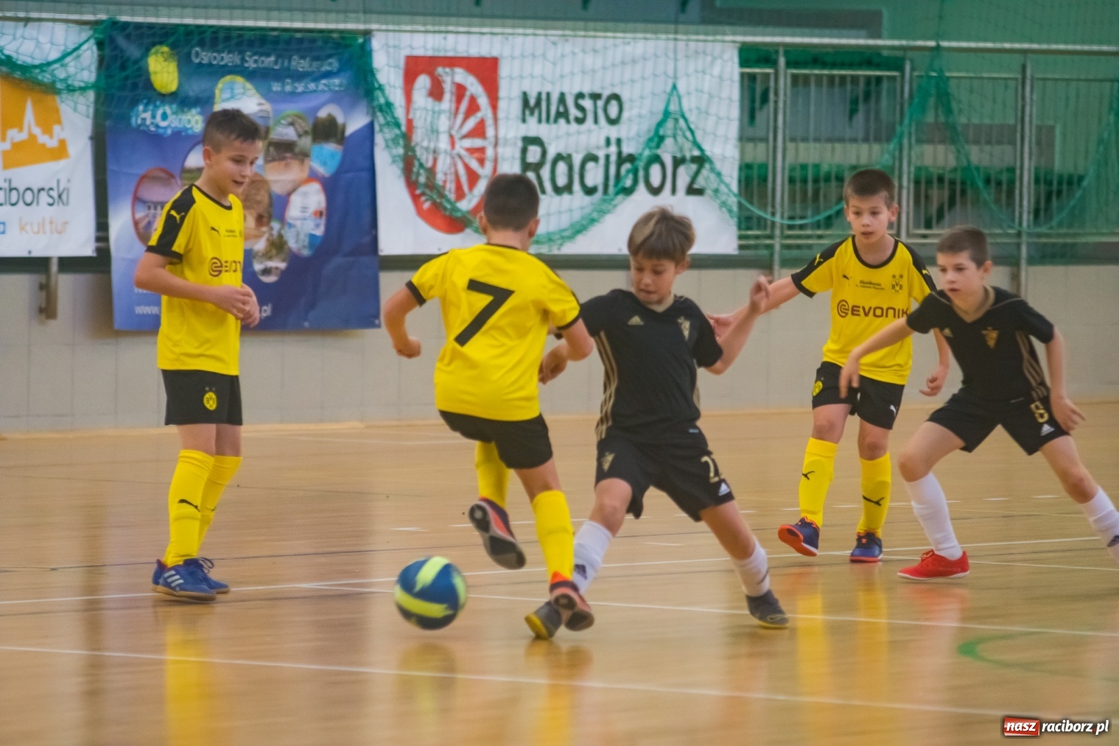 Zdjęcie w galerii na portalu naszraciborz.pl: Orliki młodsze walczyły w Arenie Rafako. Górnik Zabrze z Pucharem Prezesa [FOTO i WIDEO] wiadomości z regionu
