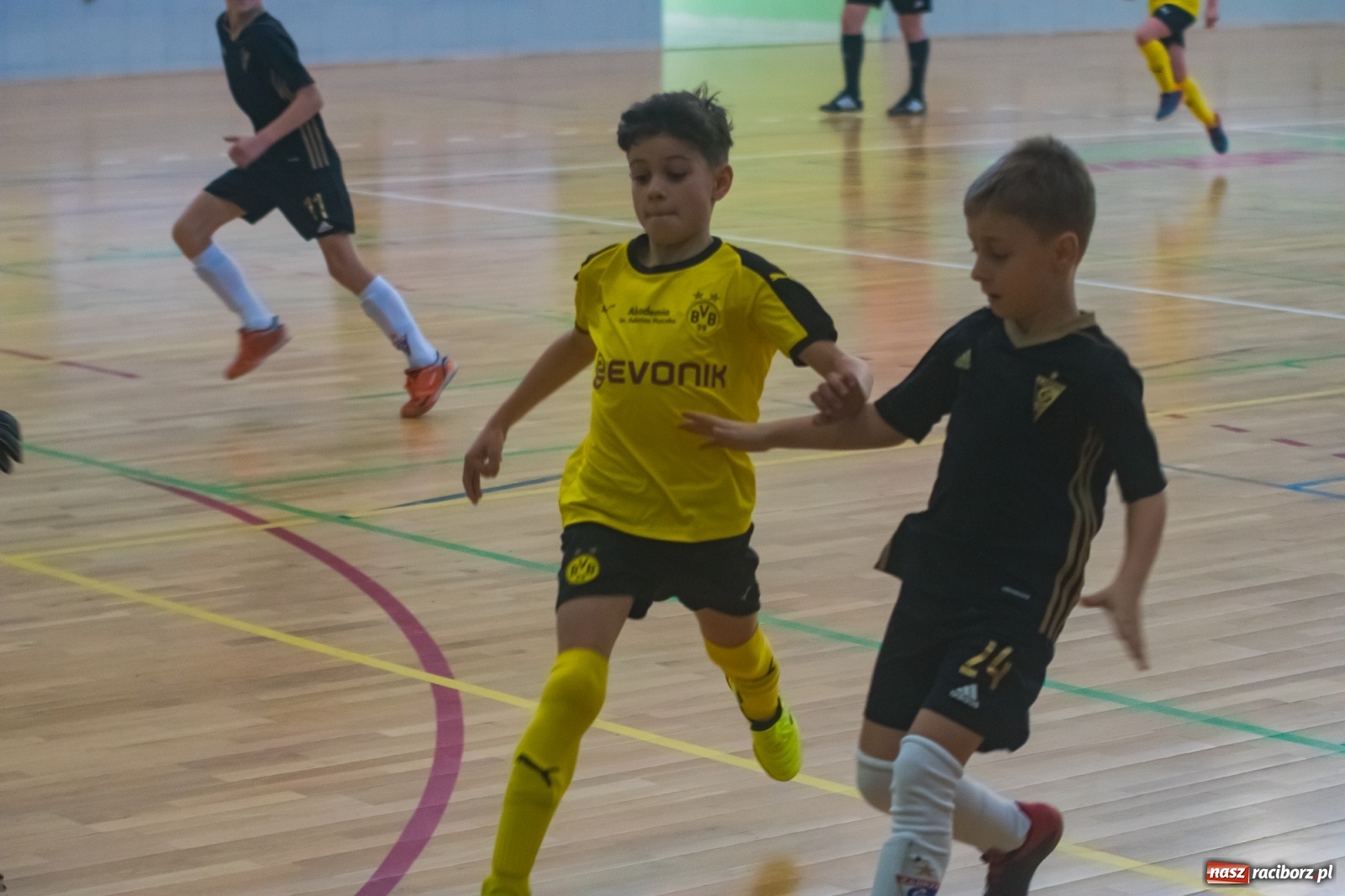 Zdjęcie w galerii na portalu naszraciborz.pl: Orliki młodsze walczyły w Arenie Rafako. Górnik Zabrze z Pucharem Prezesa [FOTO i WIDEO] wiadomości z regionu