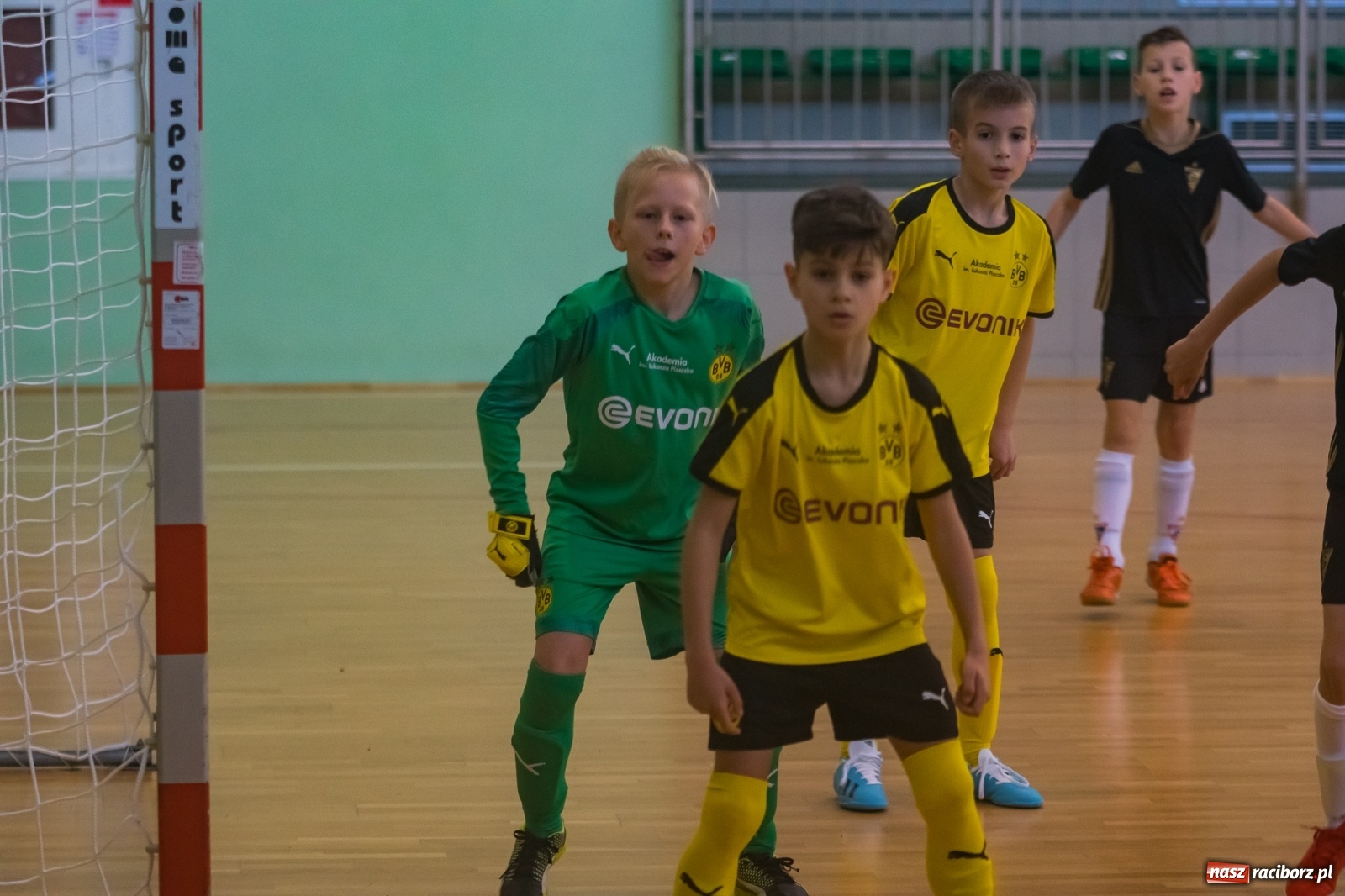 Zdjęcie w galerii na portalu naszraciborz.pl: Orliki młodsze walczyły w Arenie Rafako. Górnik Zabrze z Pucharem Prezesa [FOTO i WIDEO] wiadomości z regionu