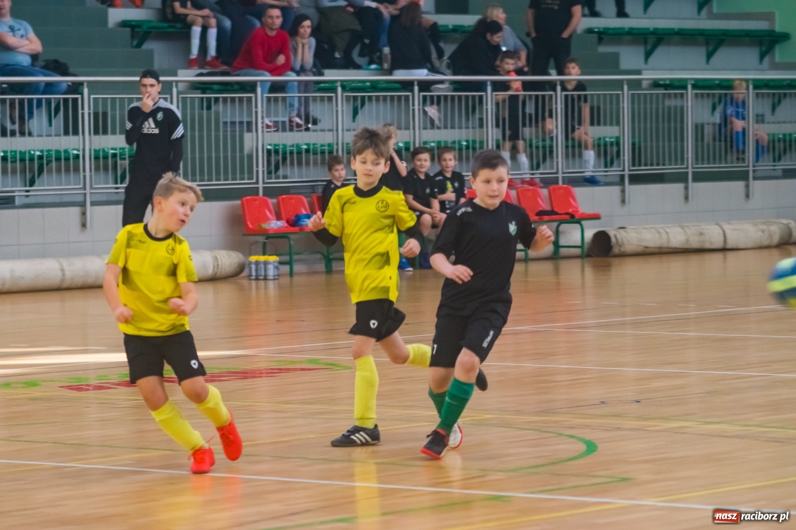 Zdjęcie w galerii na portalu naszraciborz.pl: Orliki młodsze walczyły w Arenie Rafako. Górnik Zabrze z Pucharem Prezesa [FOTO i WIDEO] wiadomości z regionu
