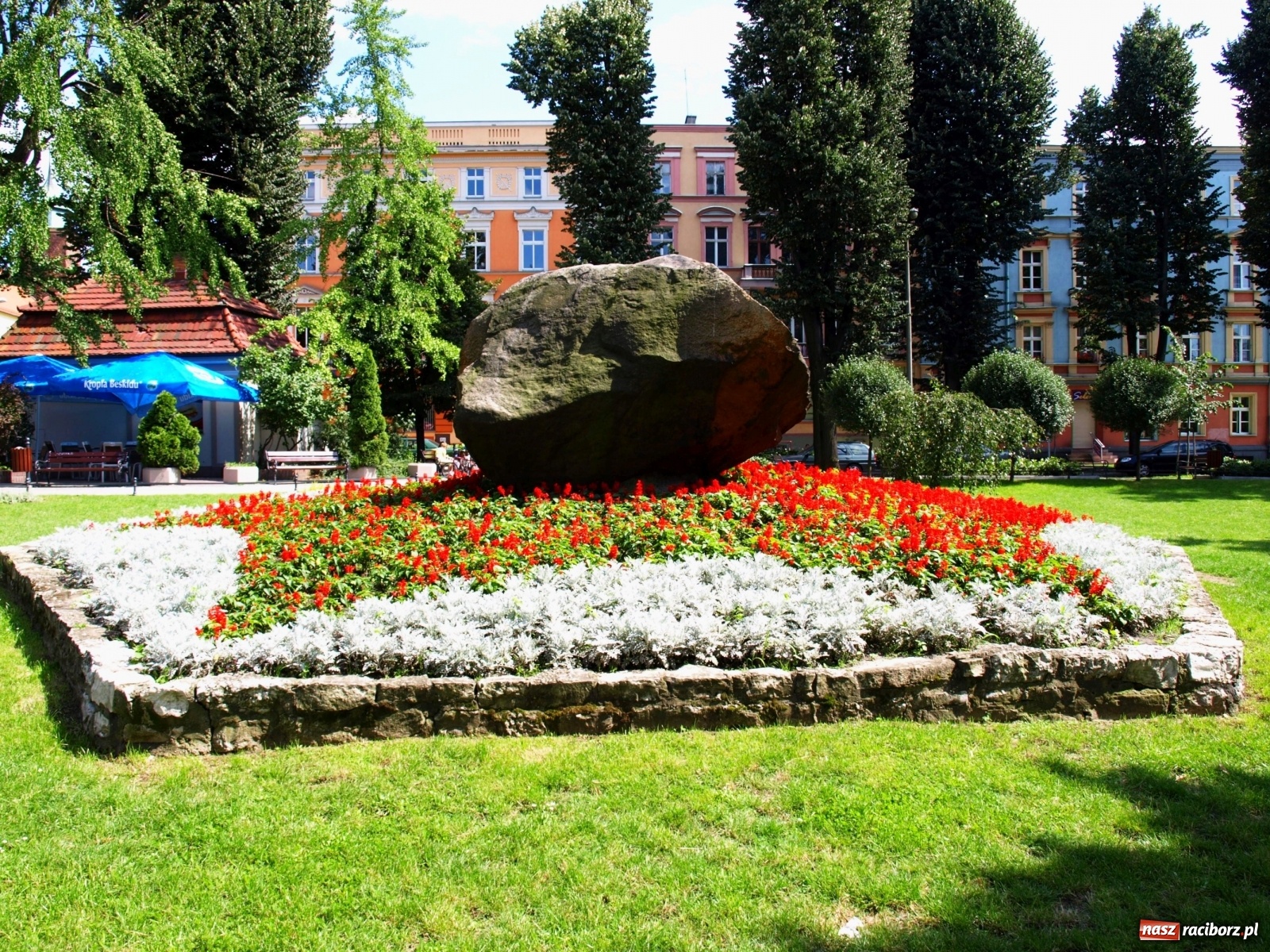 Zdjęcie w galerii na portalu naszraciborz.pl: Operacja głaz. Nazistowska przeszłość pomnika przyrody z miasta Ratibor wiadomości z regionu