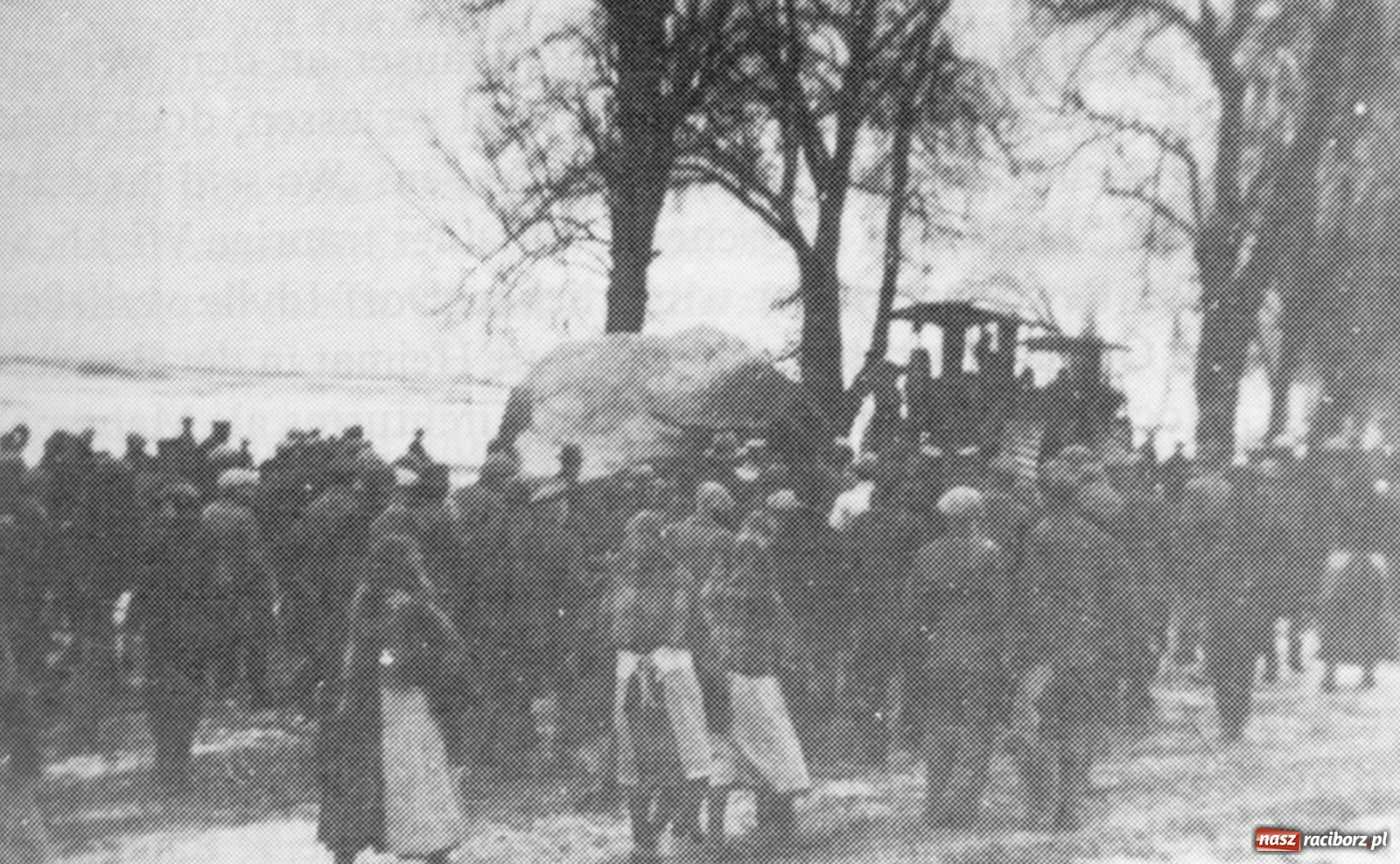 Zdjęcie w galerii na portalu naszraciborz.pl: Operacja głaz. Nazistowska przeszłość pomnika przyrody z miasta Ratibor wiadomości z regionu