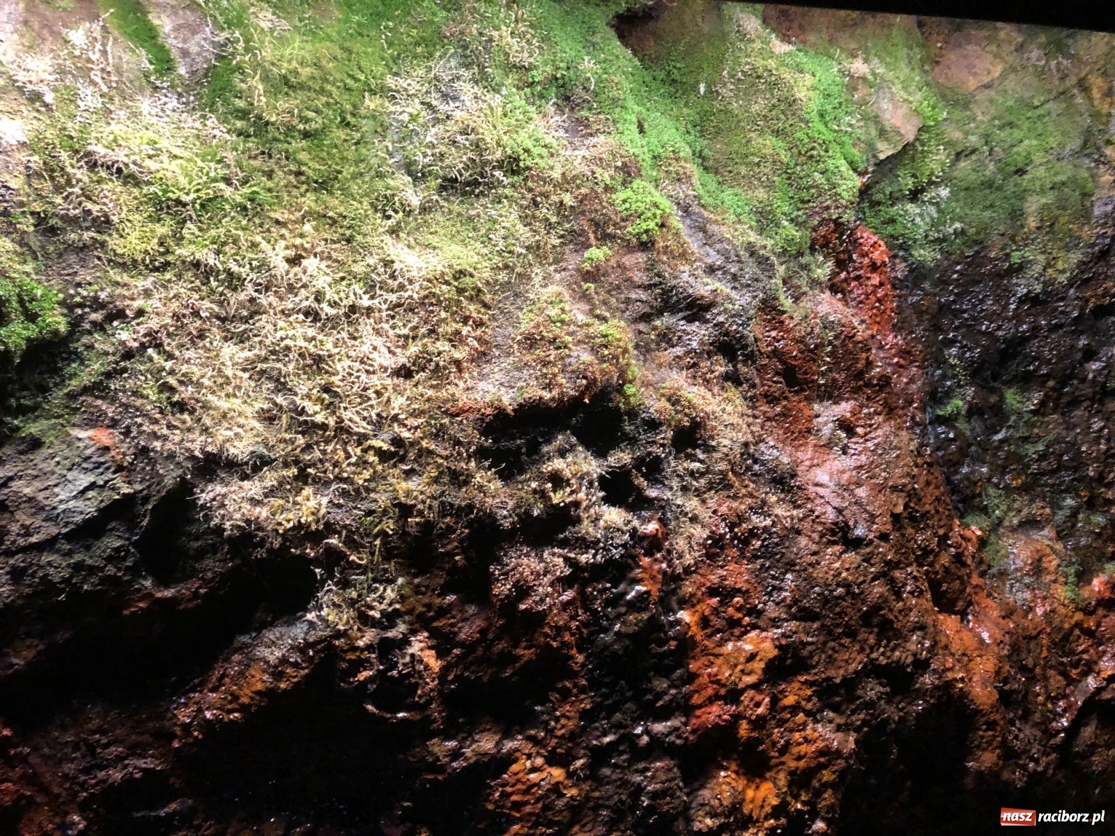 Zdjęcie w galerii na portalu naszraciborz.pl: Uczniowie ZSS zjechali głęboko pod ziemię na zakończenie ważnego projektu  wiadomości z regionu