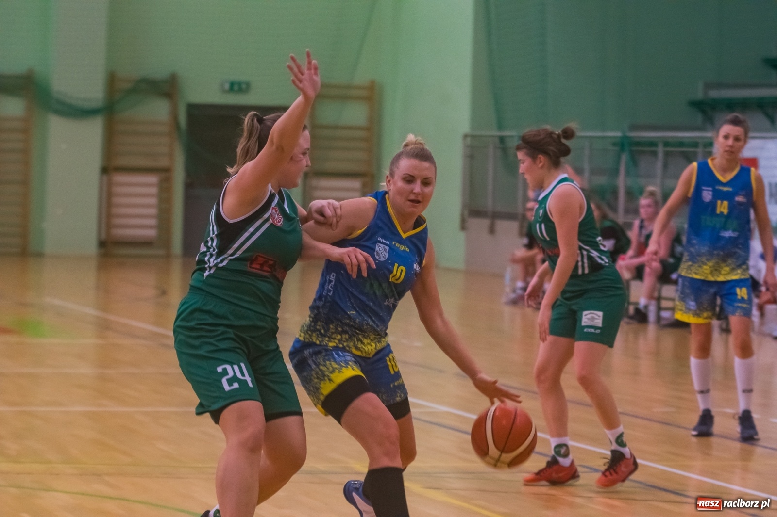 Zdjęcie w galerii na portalu naszraciborz.pl: Koszykarskie derby regionu dla Rybnika [FOTO] wiadomości z regionu