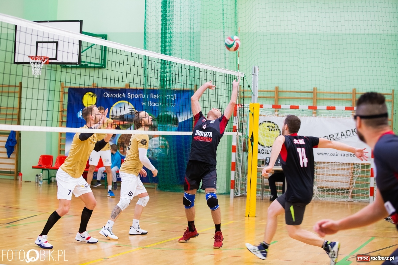 Zdjęcie w galerii na portalu naszraciborz.pl: RLPS. Siatkarska niedziela w Arenie Rafako [FOTO] wiadomości z regionu