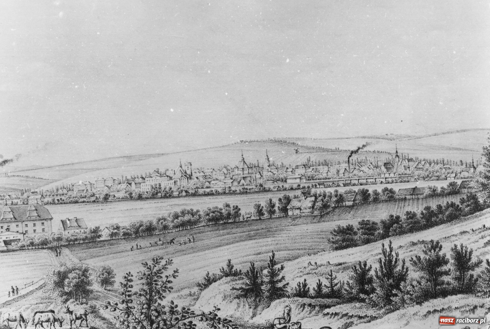 Zdjęcie w galerii na portalu naszraciborz.pl: Rozboje na dawnych drogach ziemi raciborskiej wiadomości z regionu