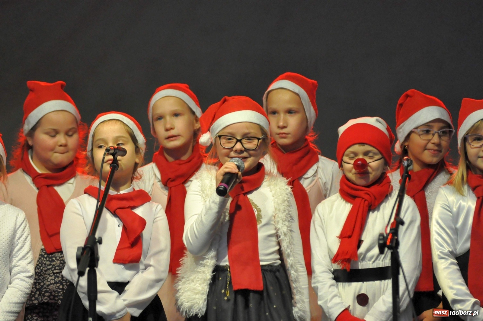 Zdjęcie w galerii na portalu naszraciborz.pl: Tłumy na kiermaszu świątecznym w Pietrowicach Wielkich [FOTO i WIDEO] wiadomości z regionu